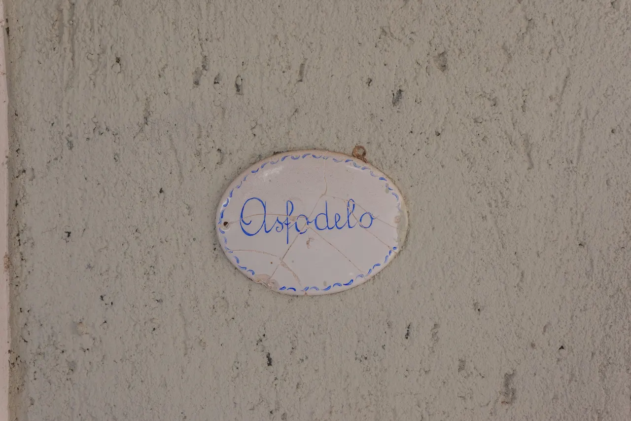 Sa Domo e Aurelia - Asfodelo 17