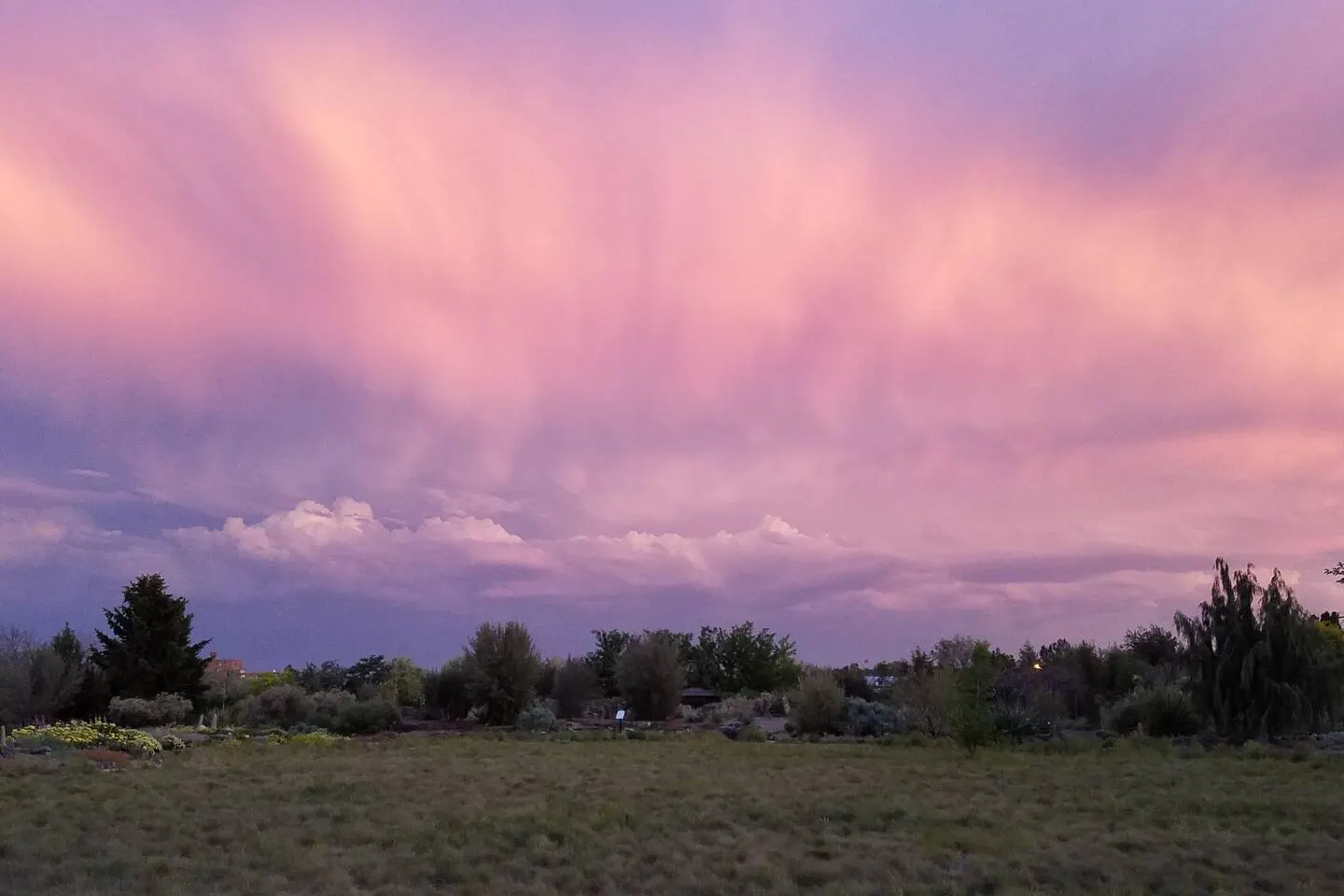 Garden Home in Twin Falls — photo 2