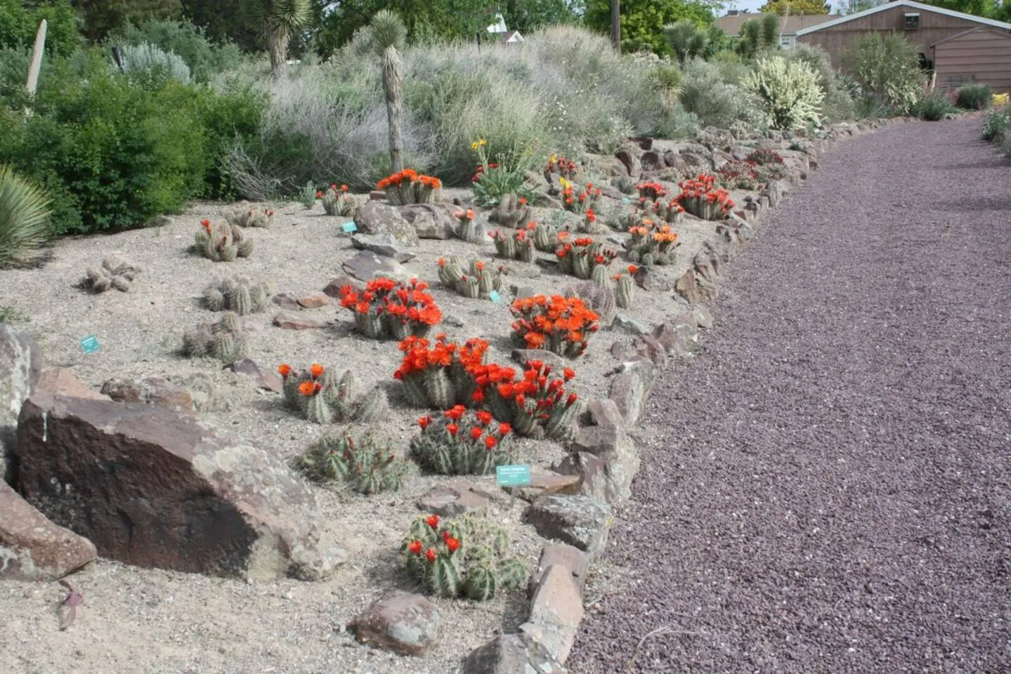 Garden Home in Twin Falls — photo 5