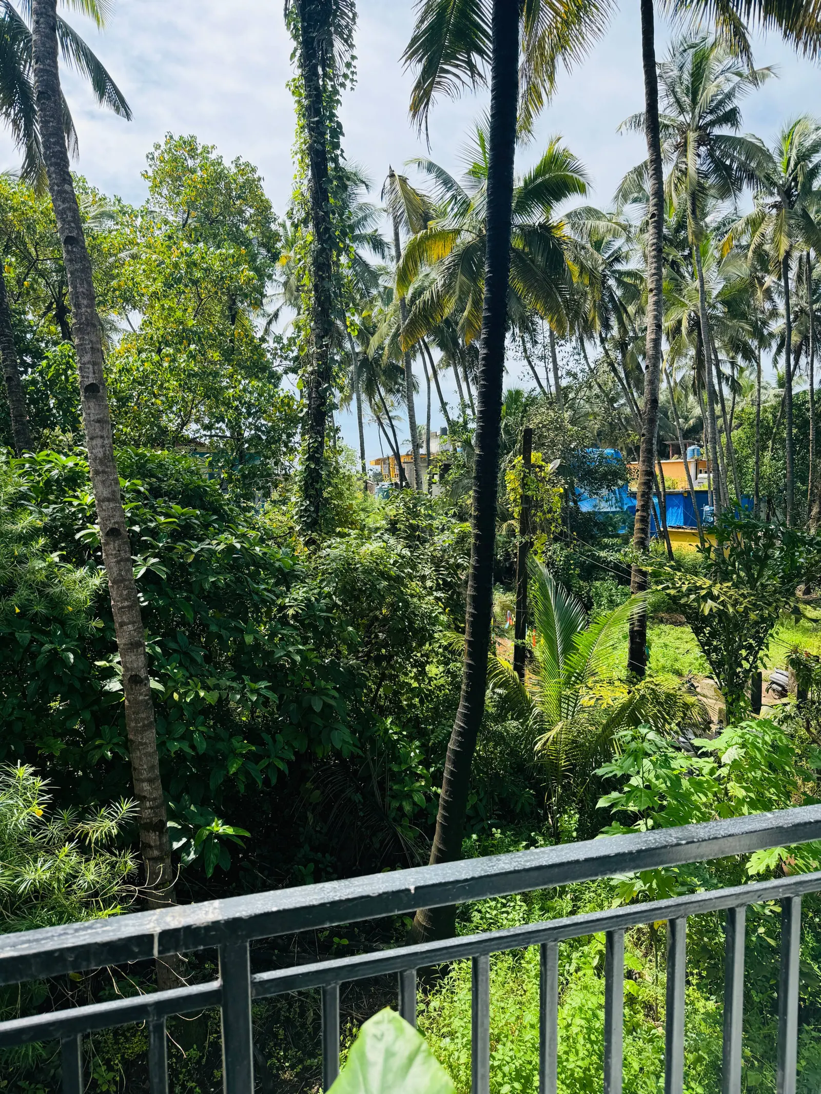 Coral Stay Beach Escape 2 min from Ashvem Beach 33