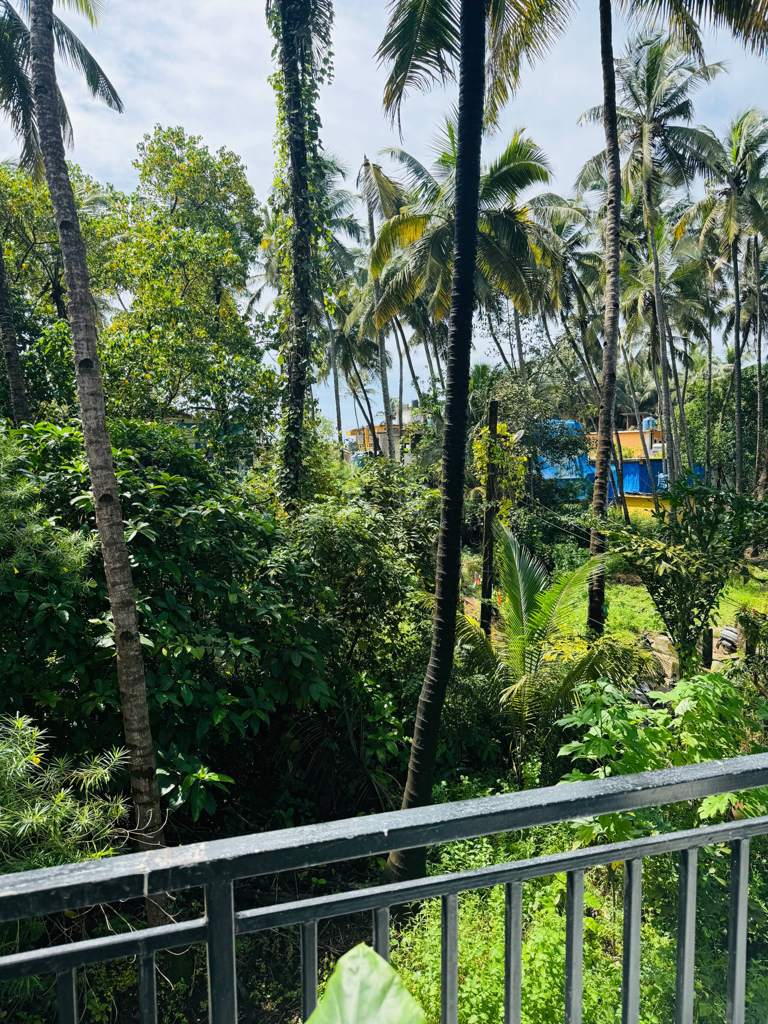 Coral Stay Beach Escape 2 min from Ashvem Beach 33