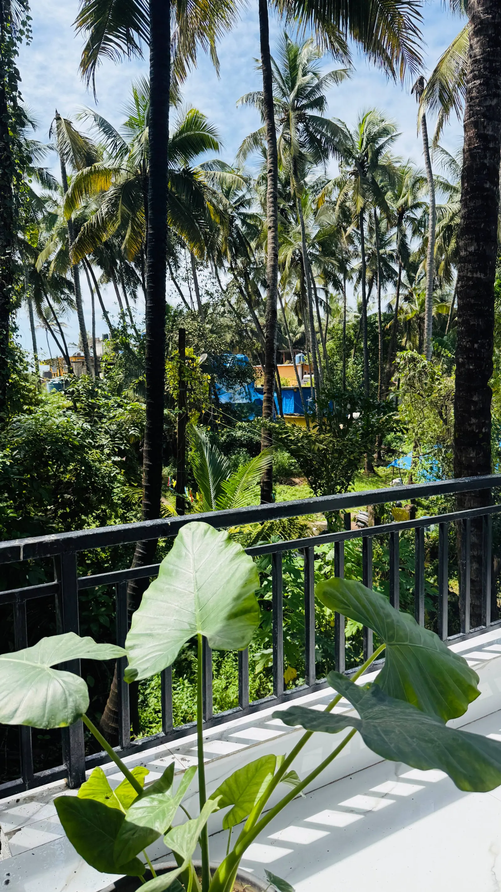 Coral Stay Beach Escape 2 min from Ashvem Beach 32