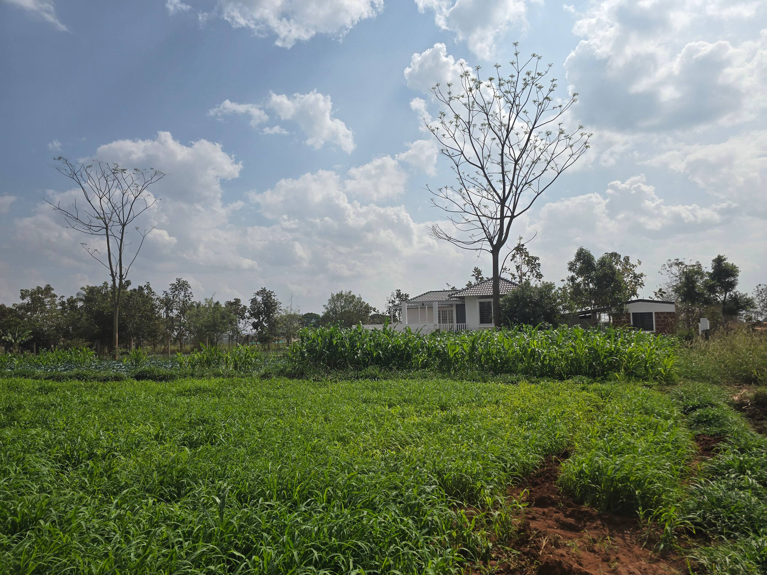 Premium Nature Farm Retreat with Modern Comforts 37