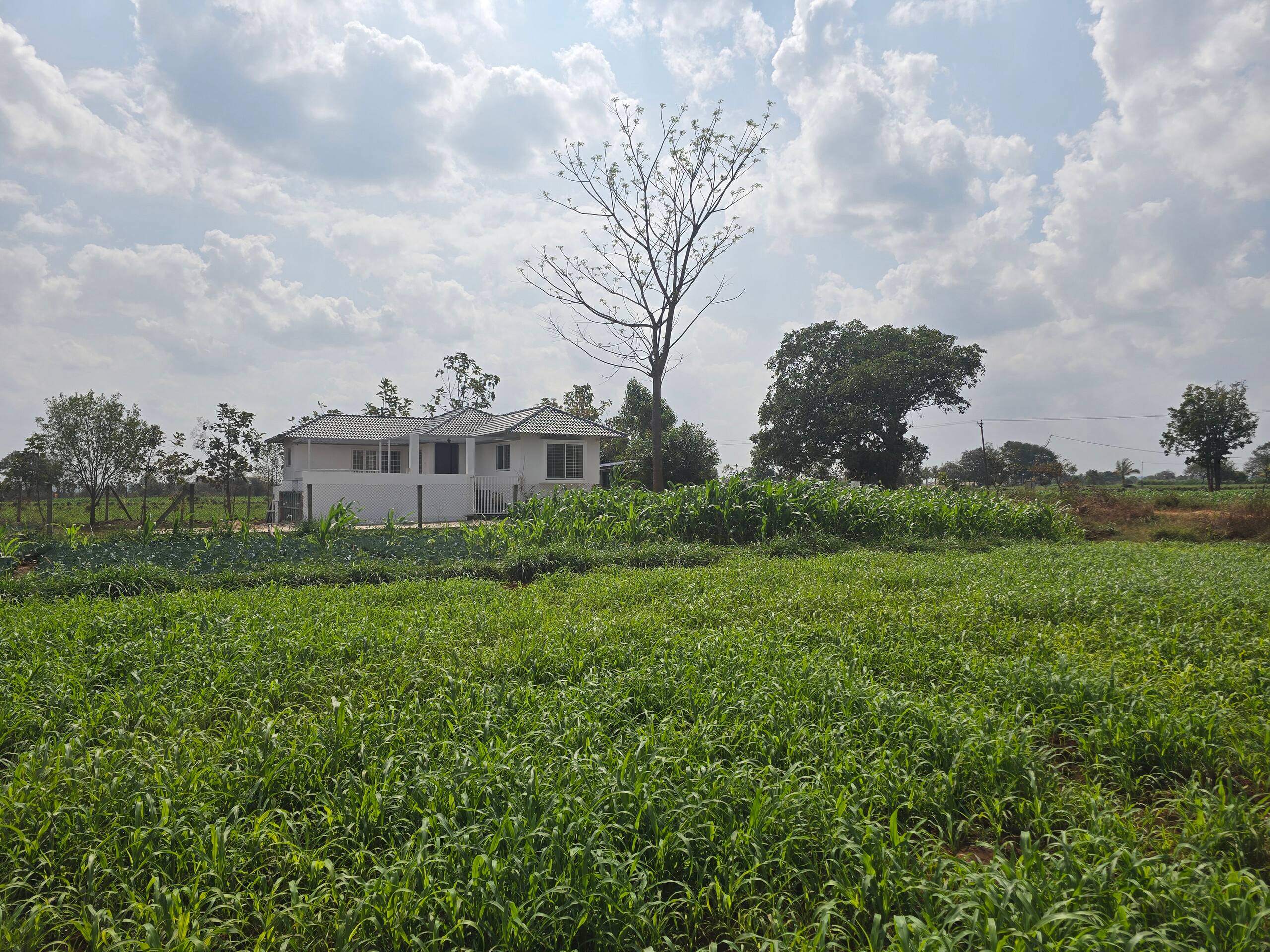 Premium Nature Farm Retreat with Modern Comforts 6