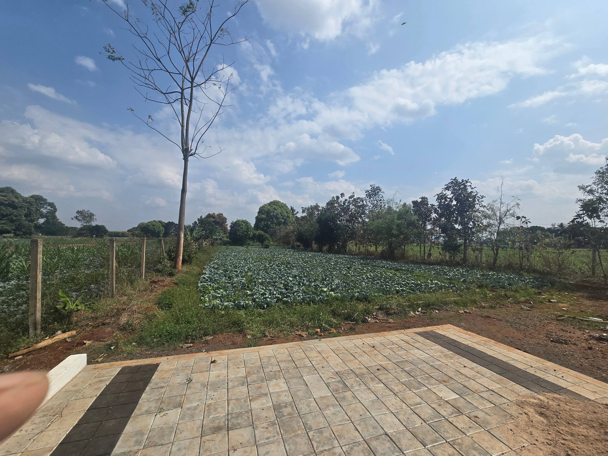 Premium Nature Farm Retreat with Modern Comforts 7
