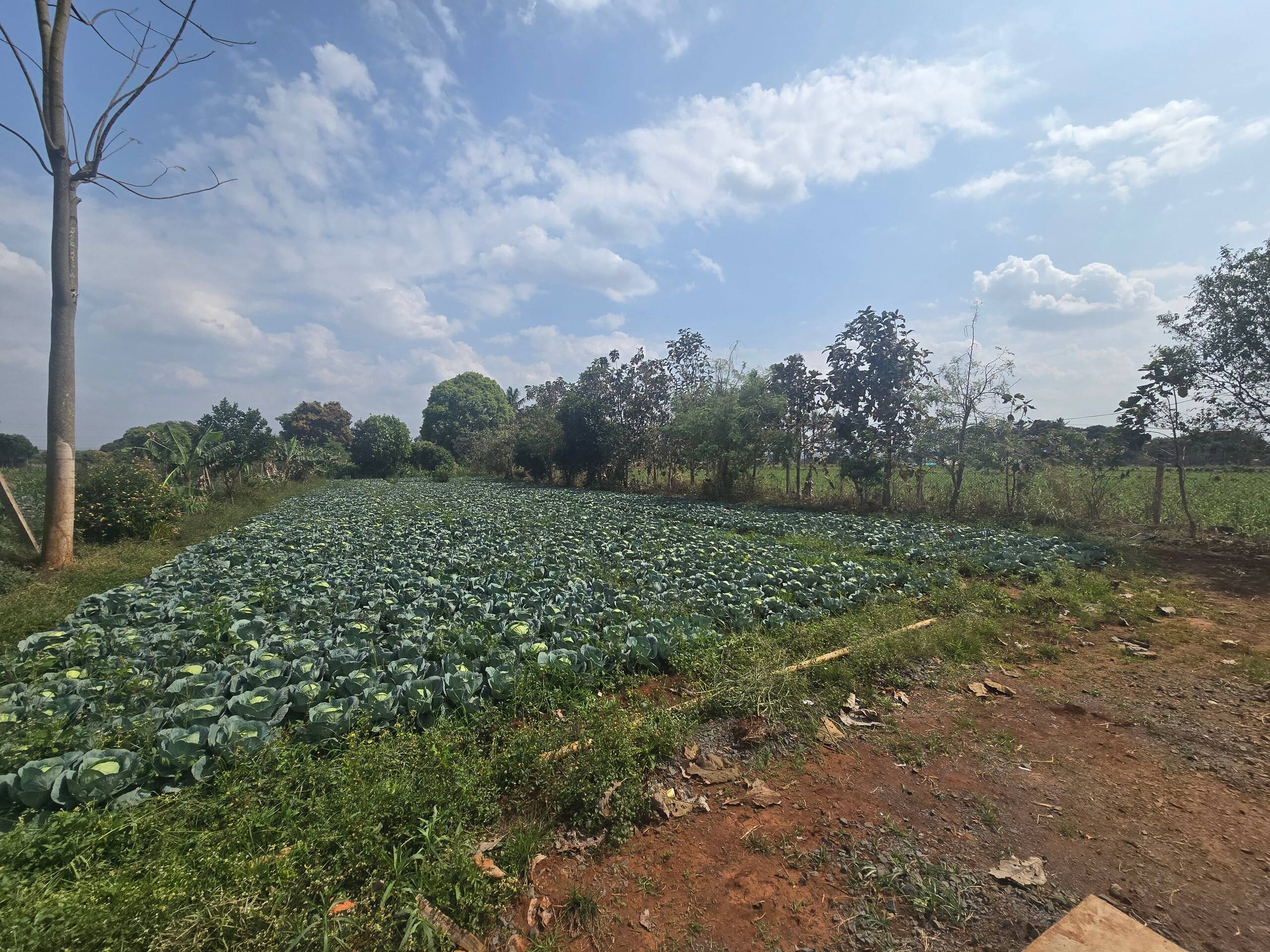 Premium Nature Farm Retreat with Modern Comforts 24