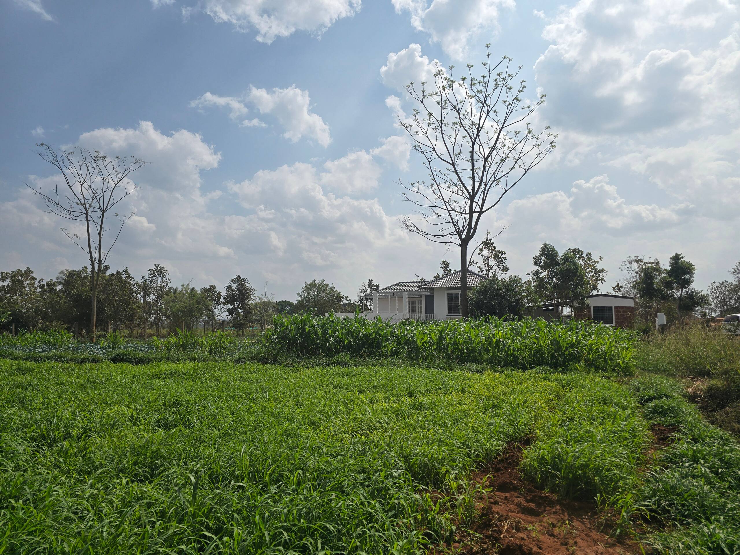 Premium Nature Farm Retreat with Modern Comforts 35