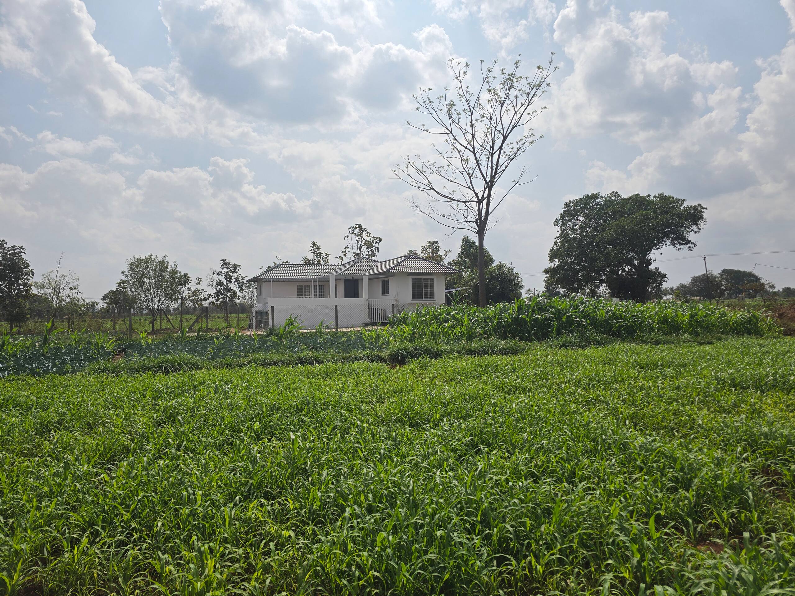 Premium Nature Farm Retreat with Modern Comforts 26