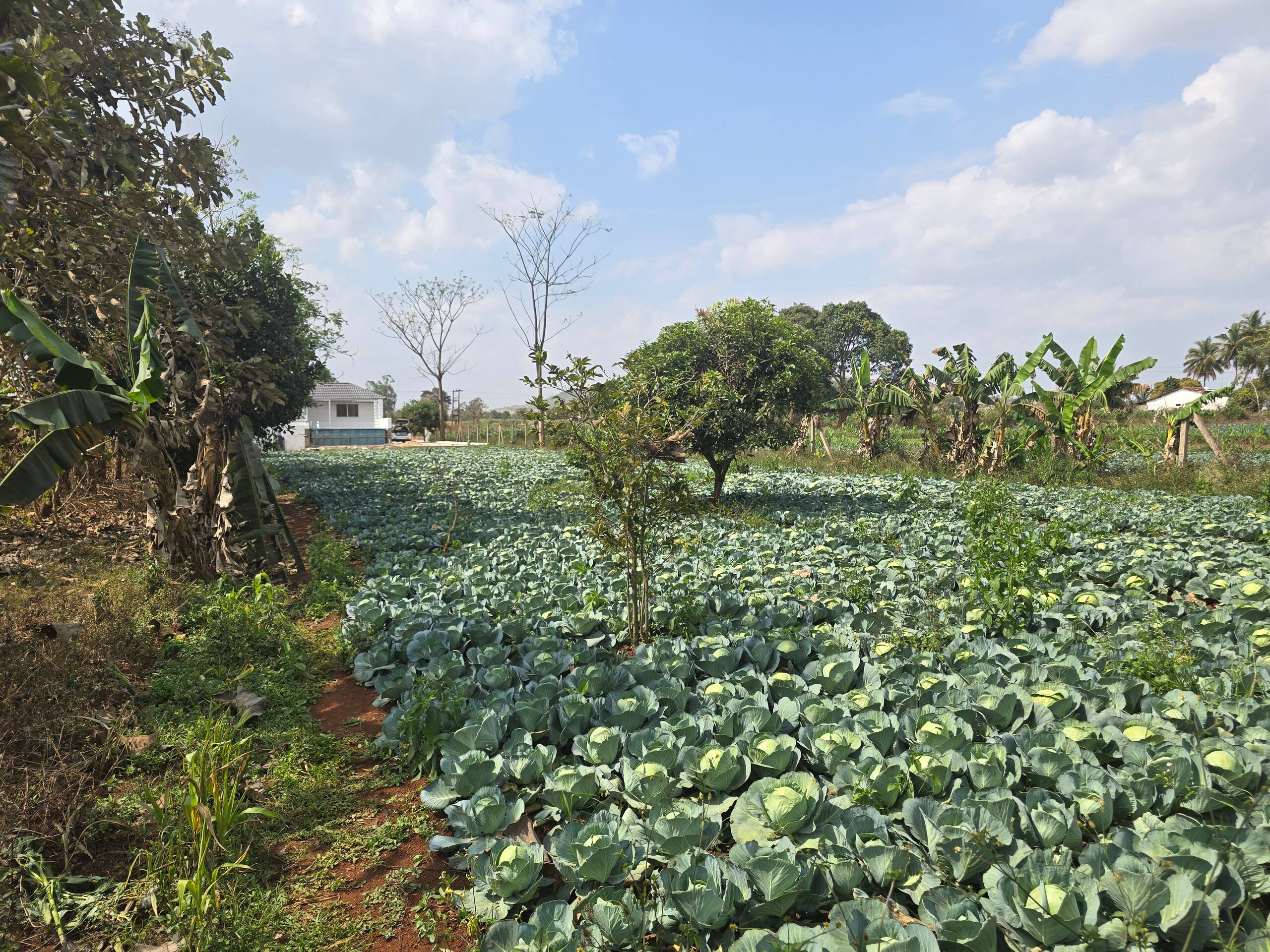 Premium Nature Farm Retreat with Modern Comforts 33