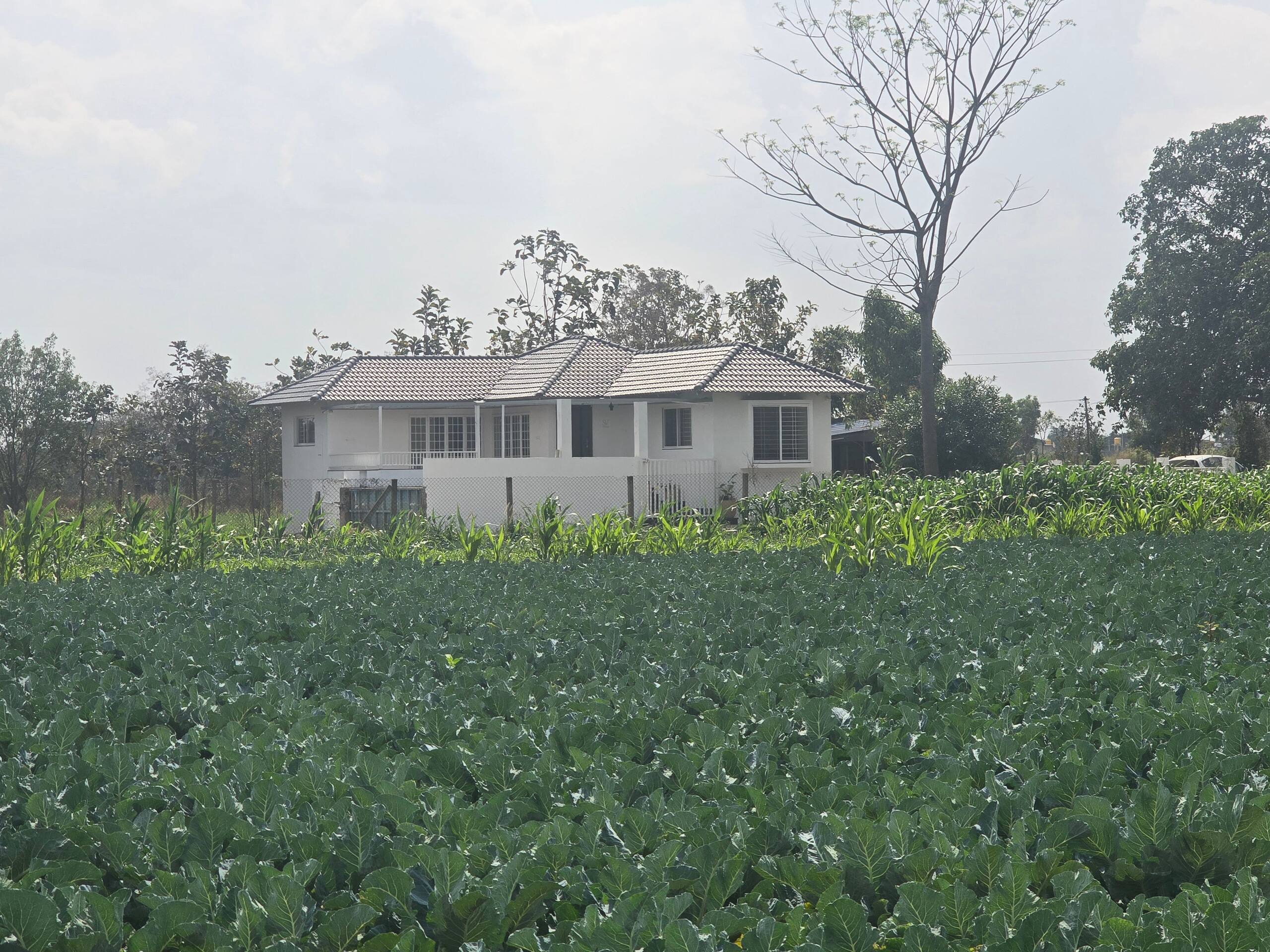 Premium Nature Farm Retreat with Modern Comforts 3