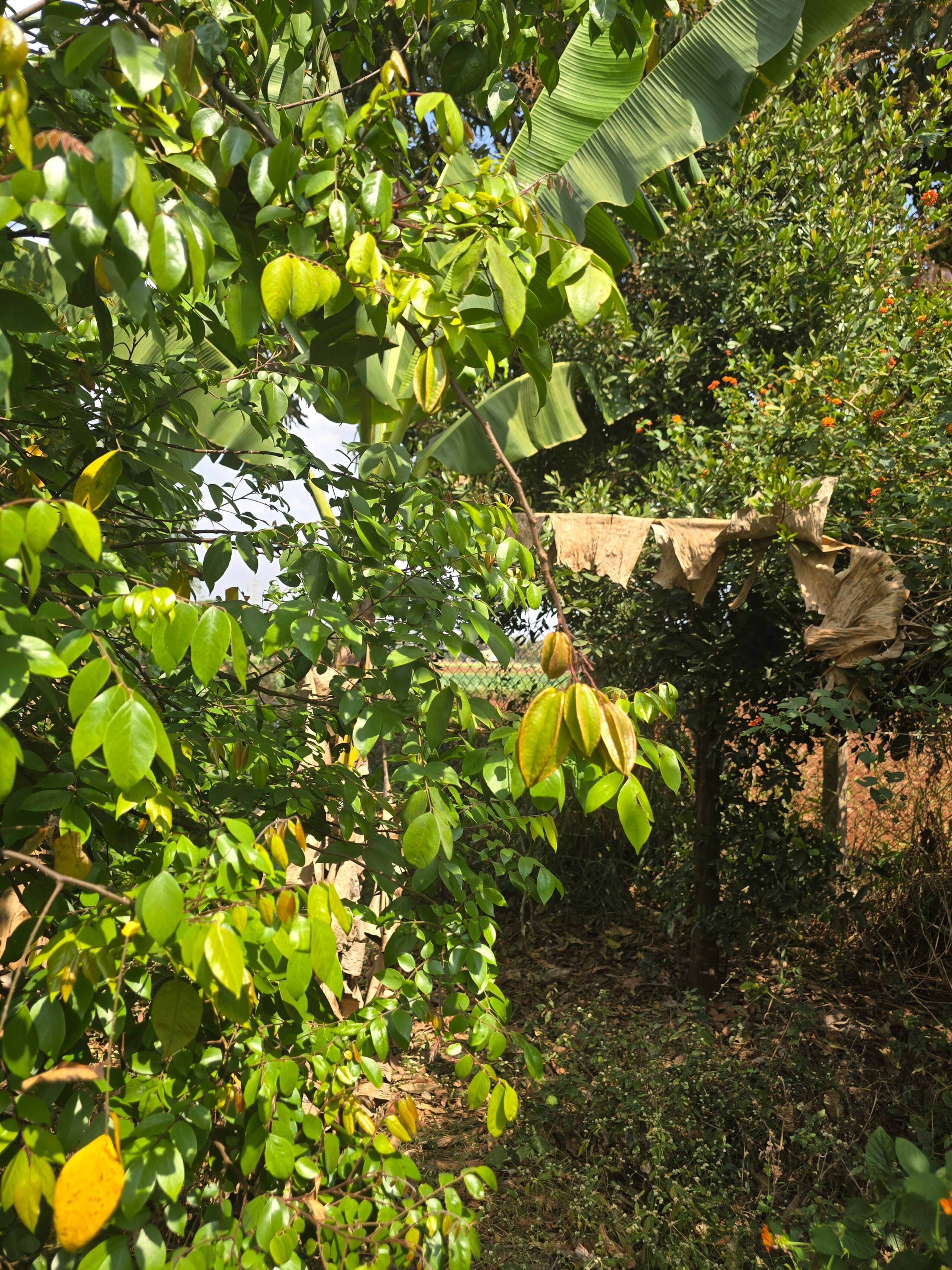 Premium Nature Farm Retreat with Modern Comforts 30