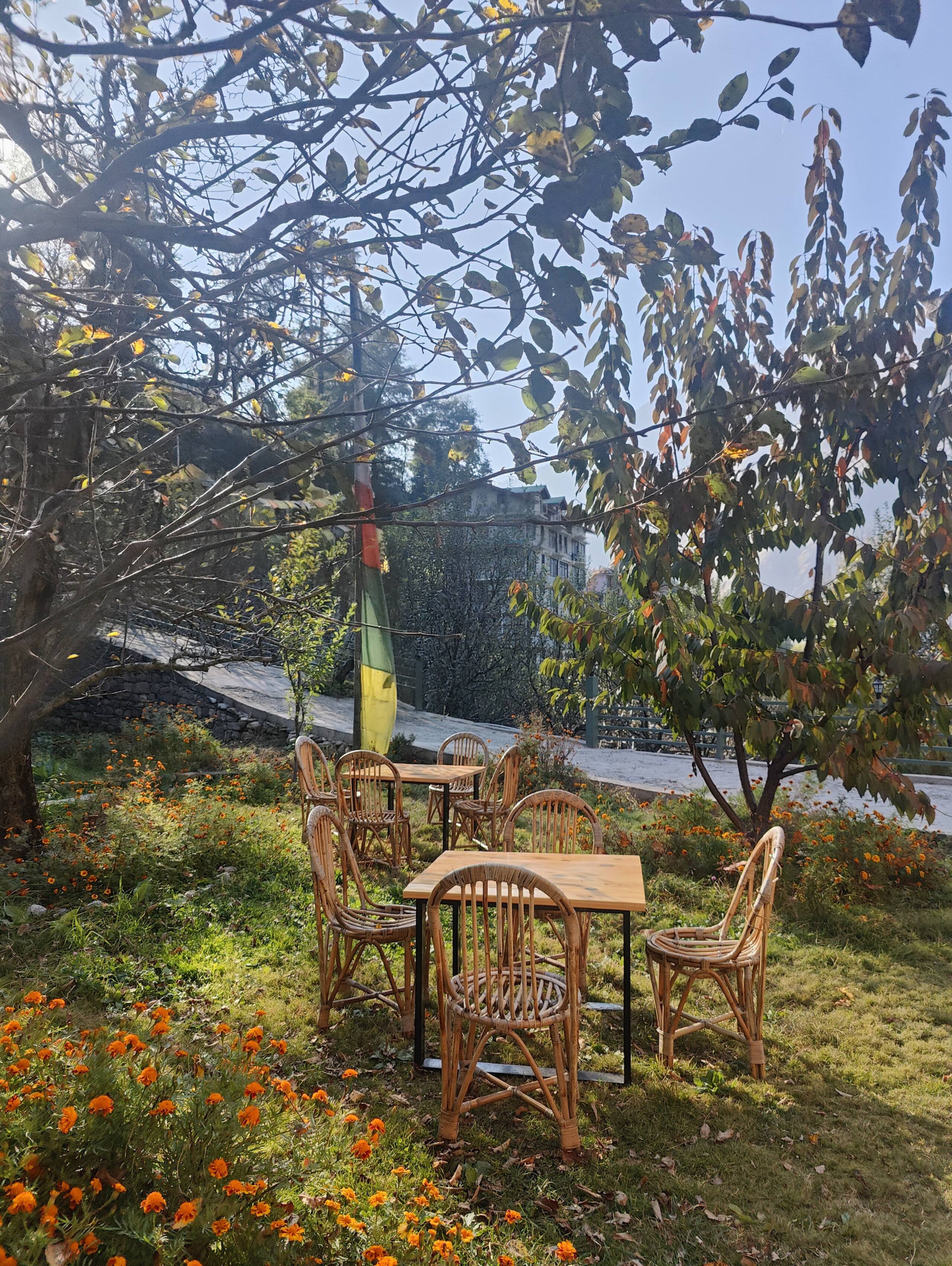 Yutori Homestay Manali | 6-BR Villa 14