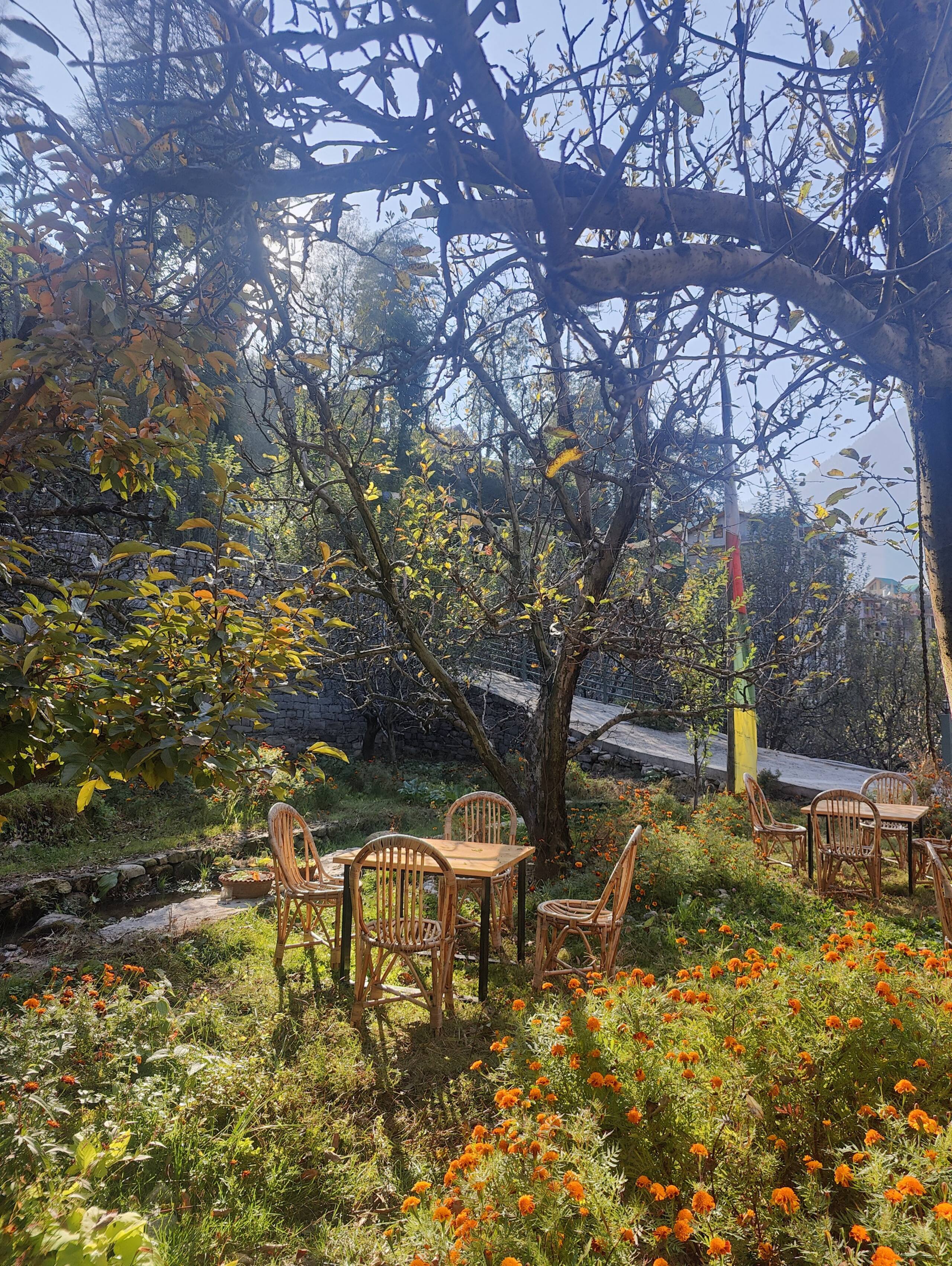 Yutori Homestay Manali | 6-BR Villa 13