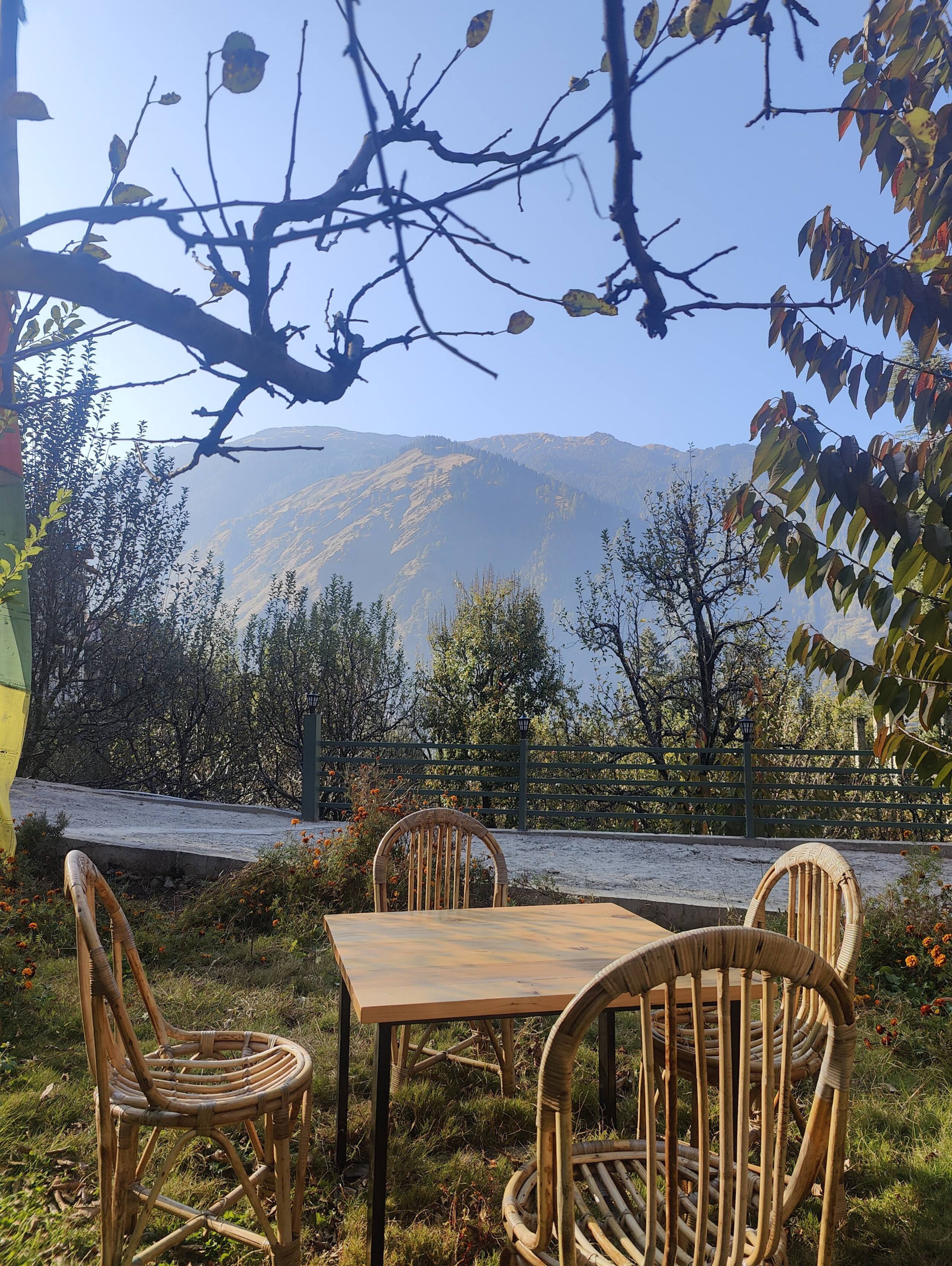 Yutori Homestay Manali | 6-BR Villa 5