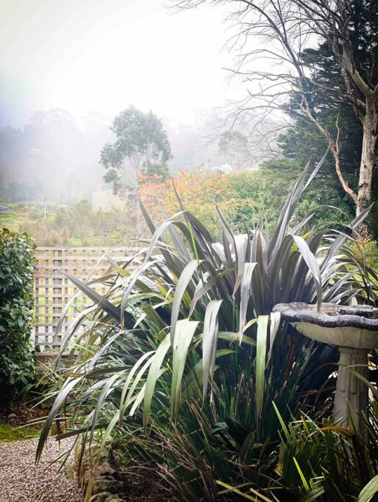 Cosy Inn Blue - family friendly, homely & peaceful 17