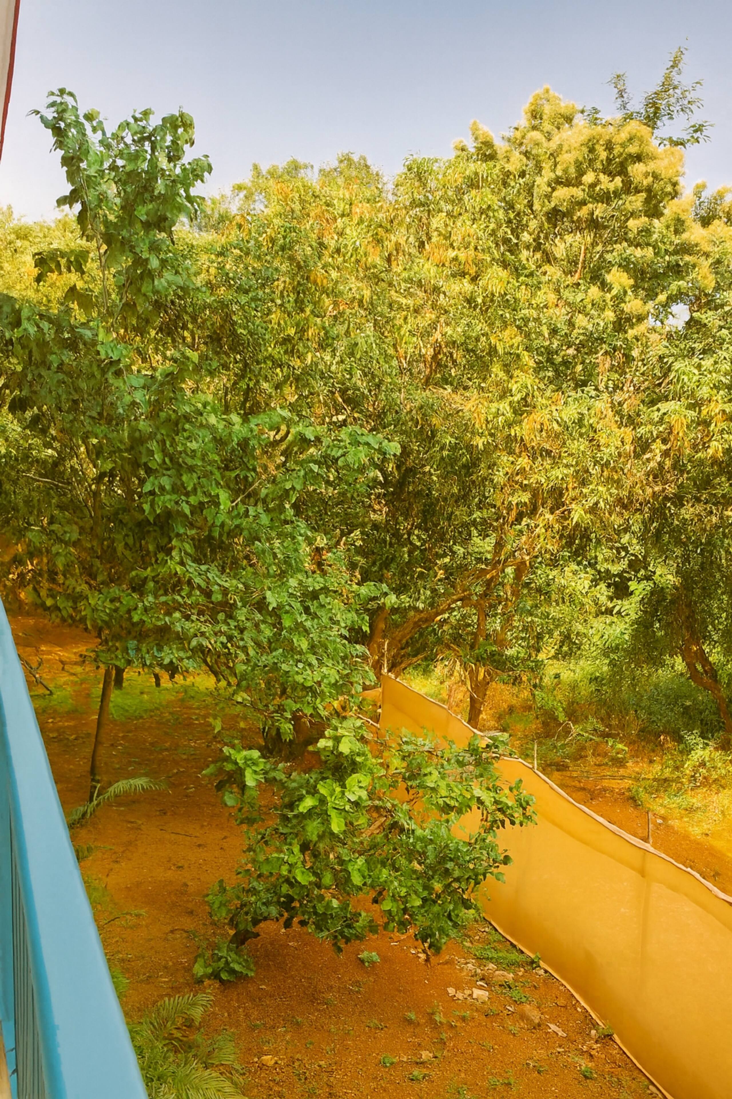 Arambol Bliss-1st F-Stylish 1BHK-Beach 1 Min Walk 6