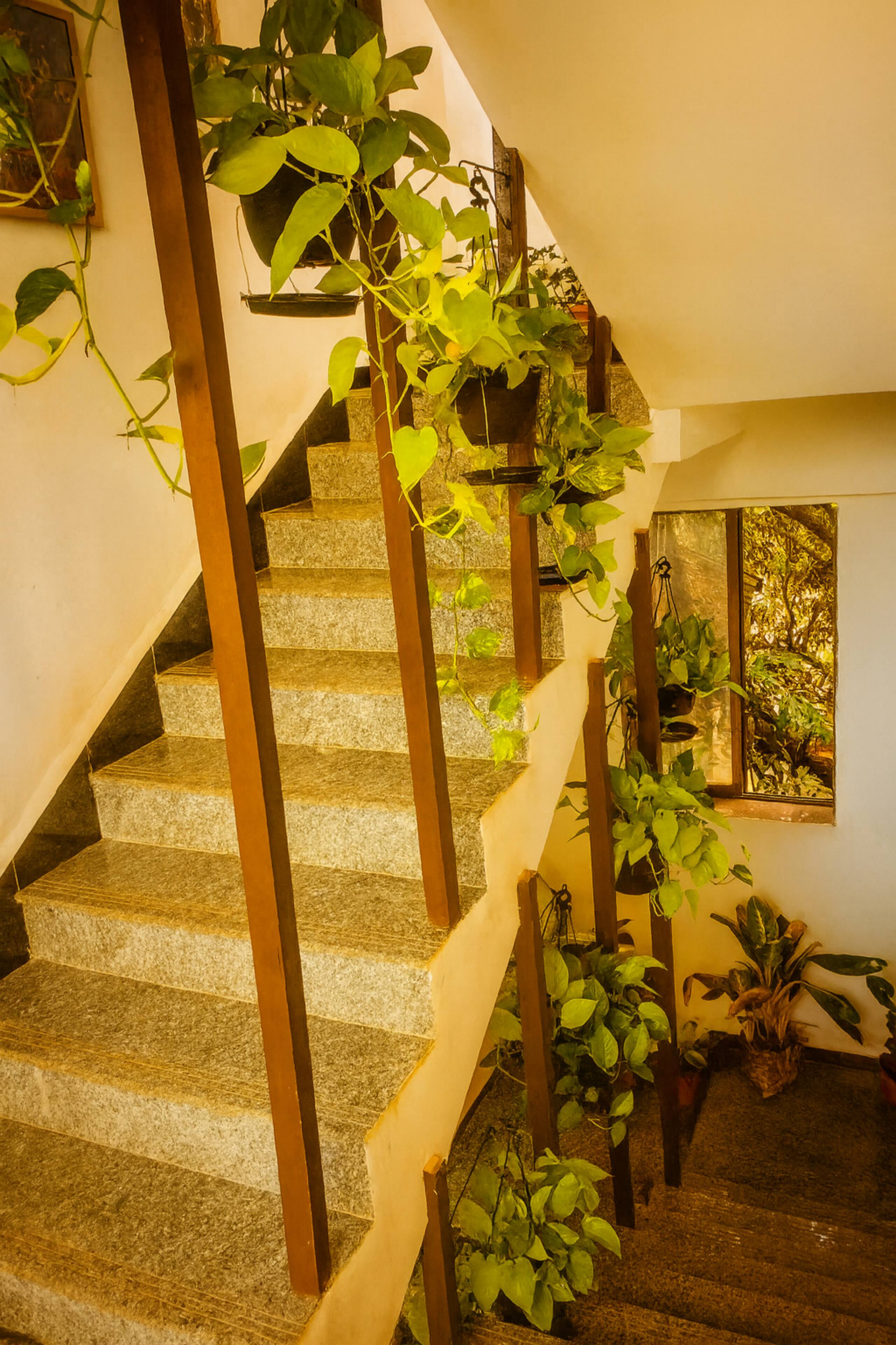 Arambol Bliss-1st F-Stylish 1BHK-Beach 1 Min Walk 27