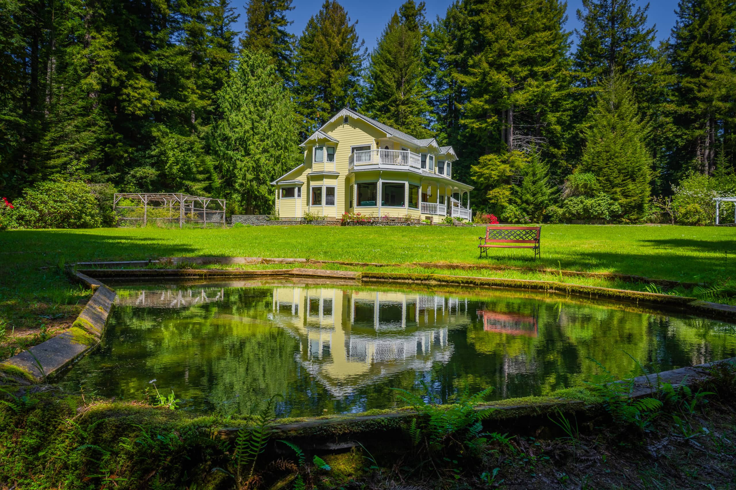 Gather in the Redwoods — photo 1