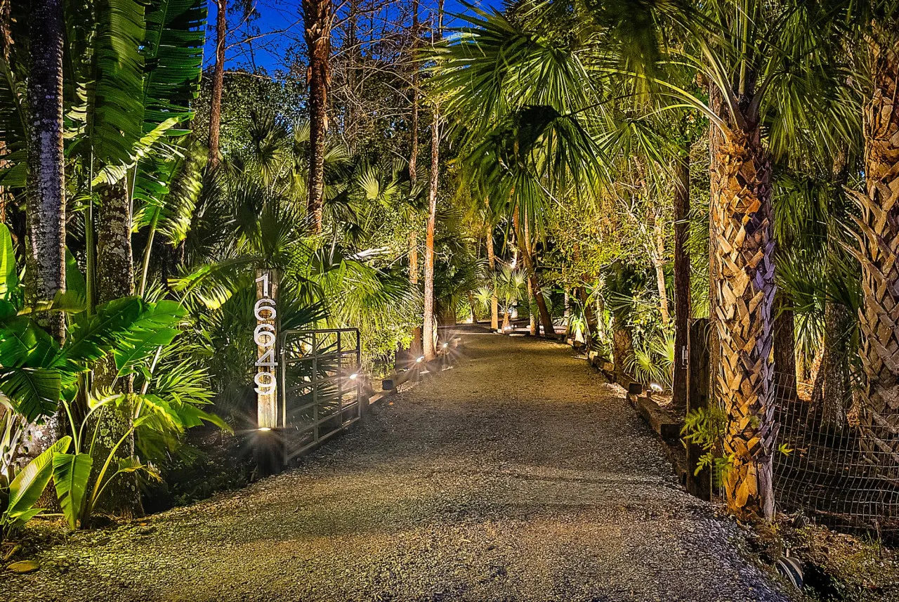 Whispering Woods Cottages - Verdant Forest Setting 14