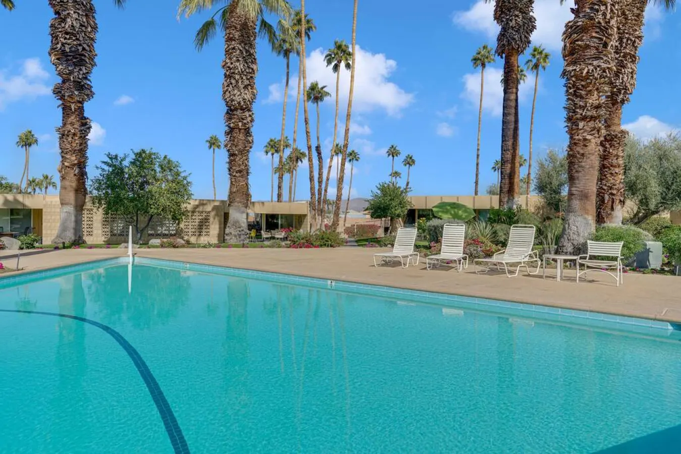 The Velvet Palm: Palm Desert, CA 18