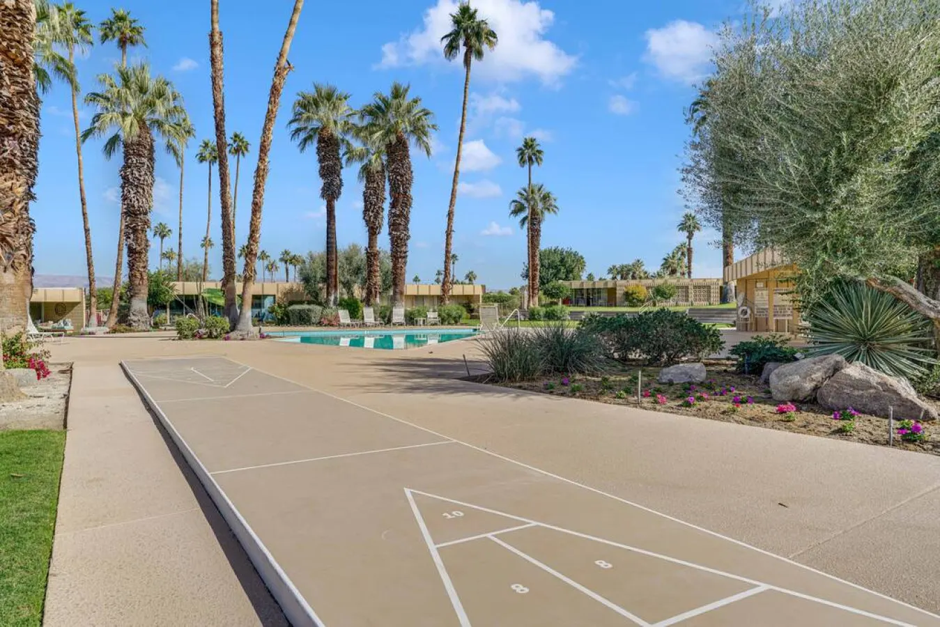 The Velvet Palm: Palm Desert, CA 20