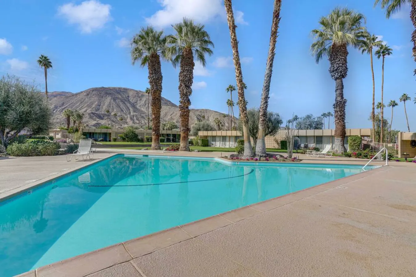The Velvet Palm: Palm Desert, CA 5