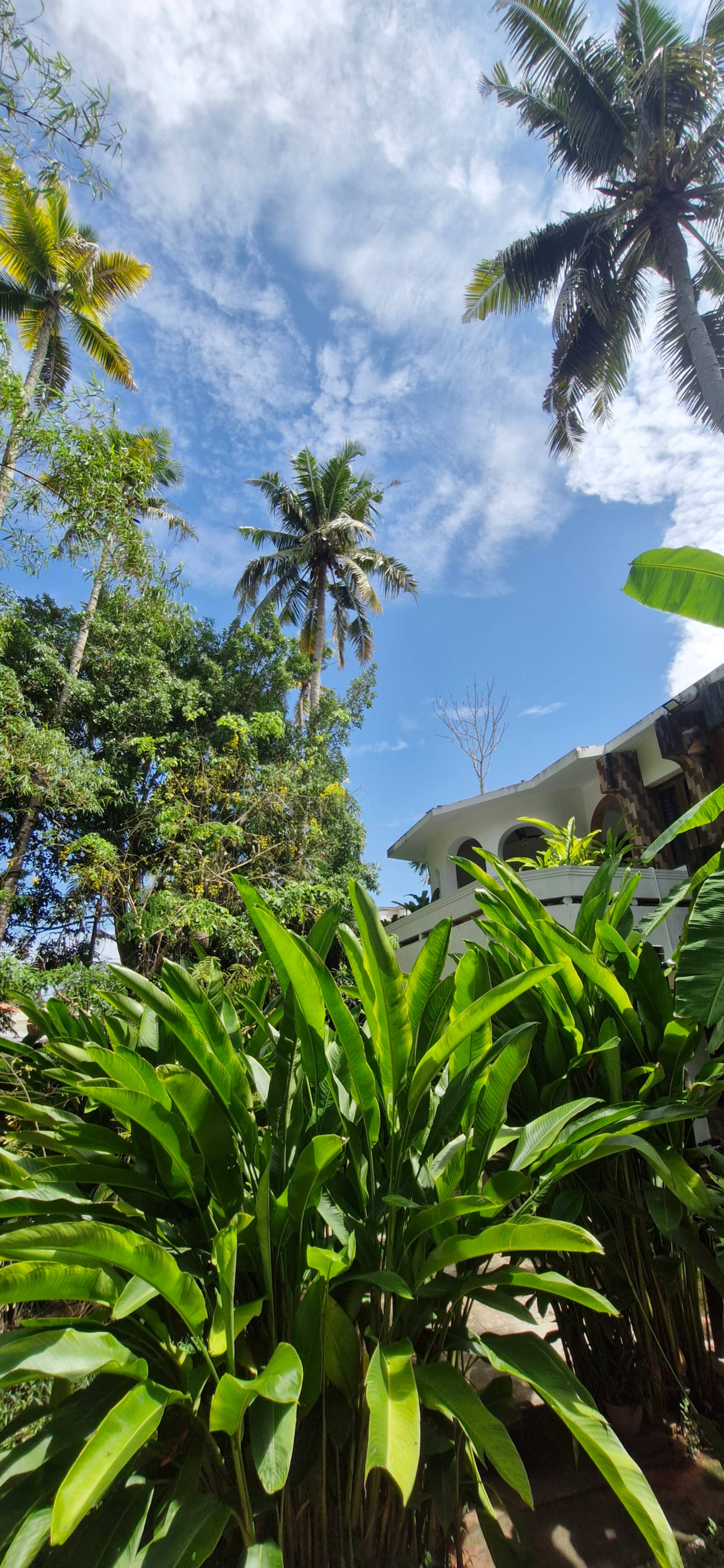 NelliTree | Private Pool Retreat | 2 - 4 Persons 14