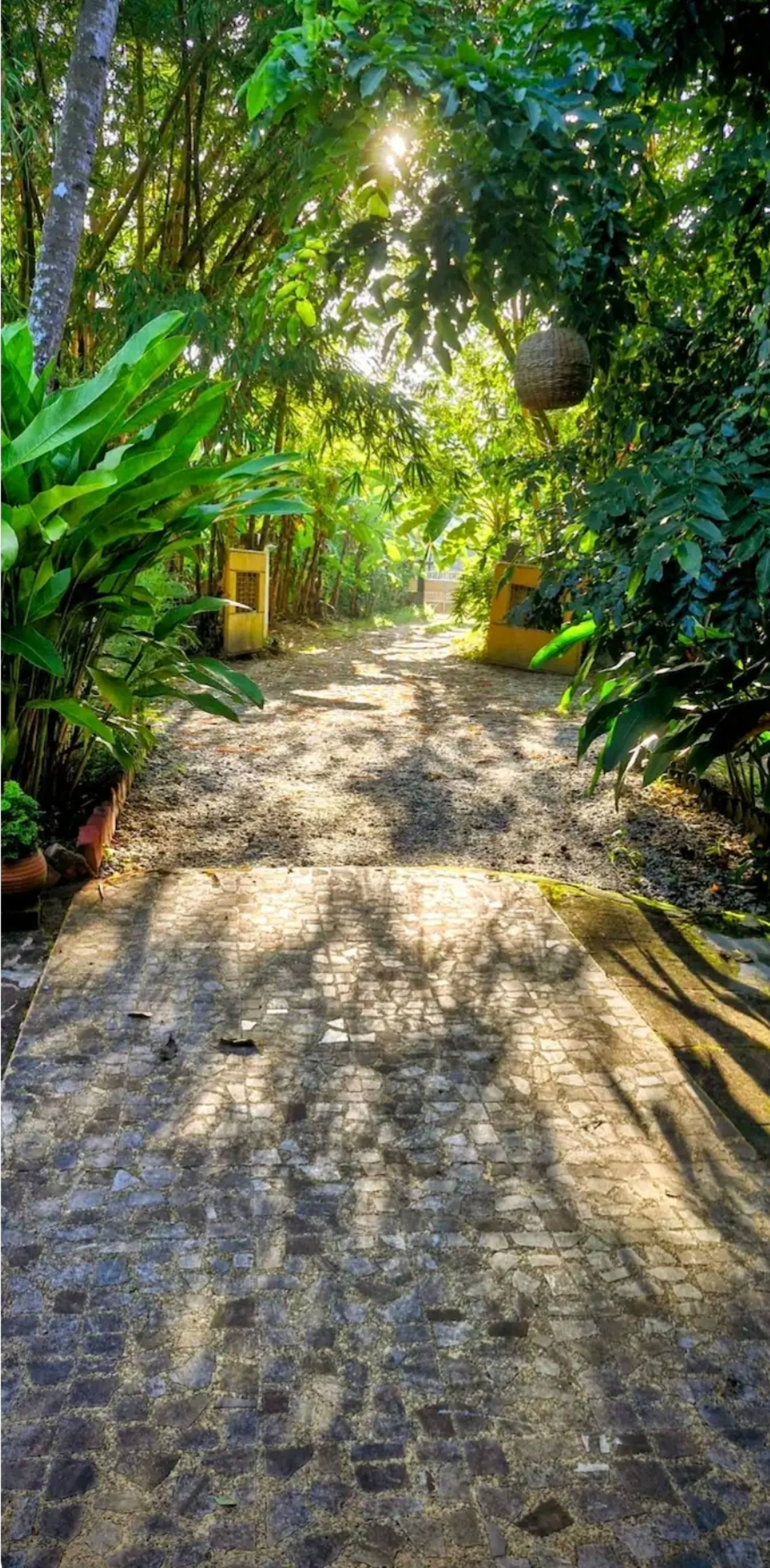 NelliTree | Private Pool Retreat | 2 - 4 Persons 24