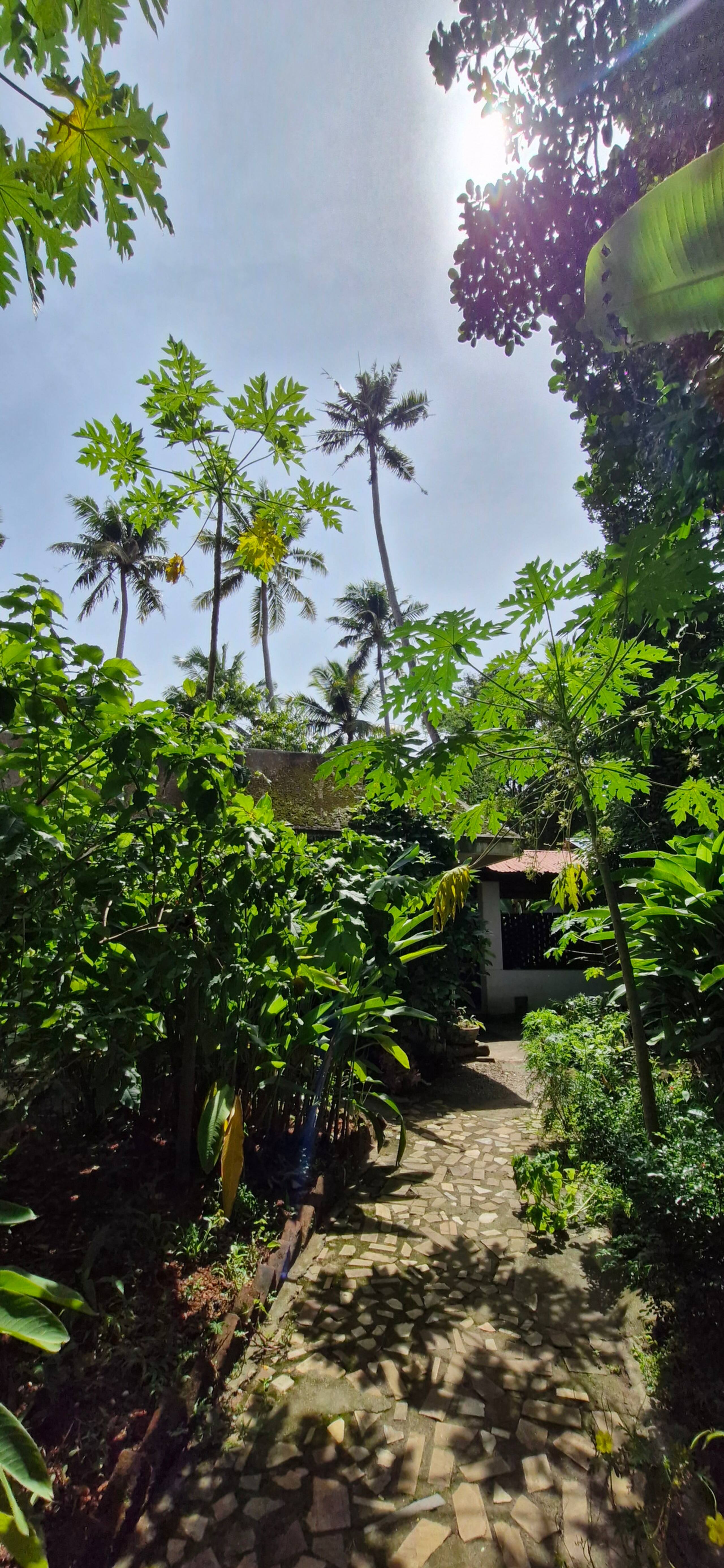 NelliTree | Private Pool Retreat | 2 - 4 Persons 26