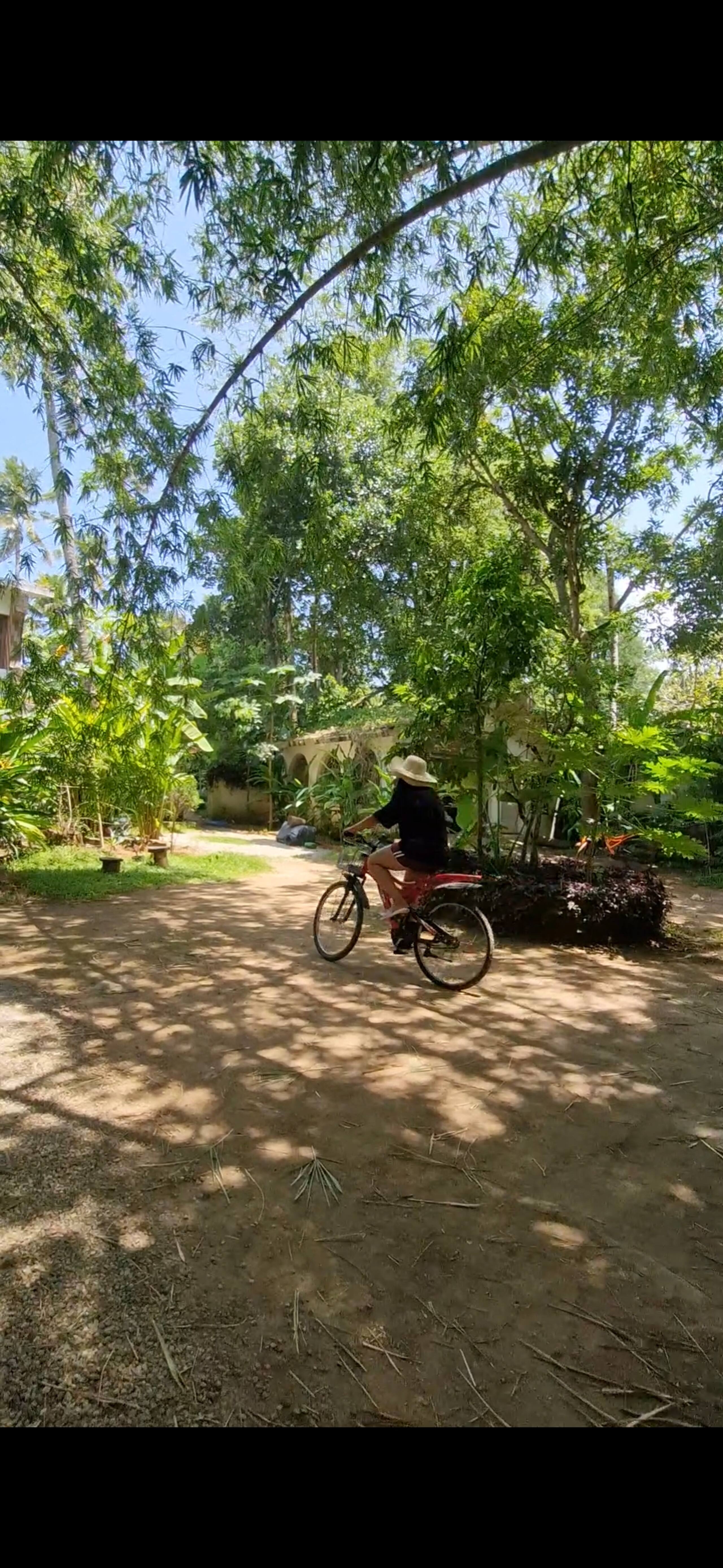 NelliTree | Private Pool Retreat | 2 - 4 Persons 18