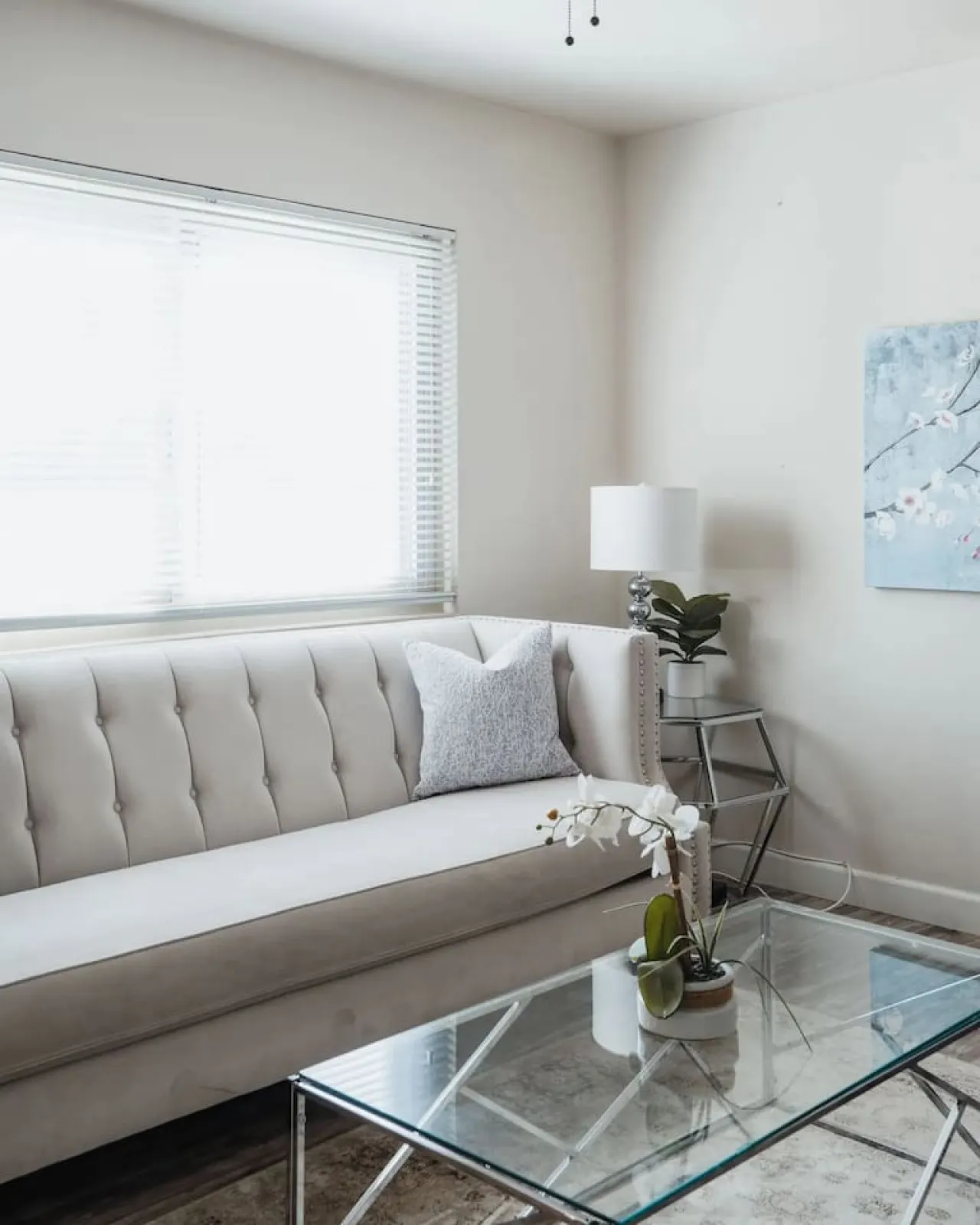 Casa Italia -2BR- AC & FREE Driveway parking 16