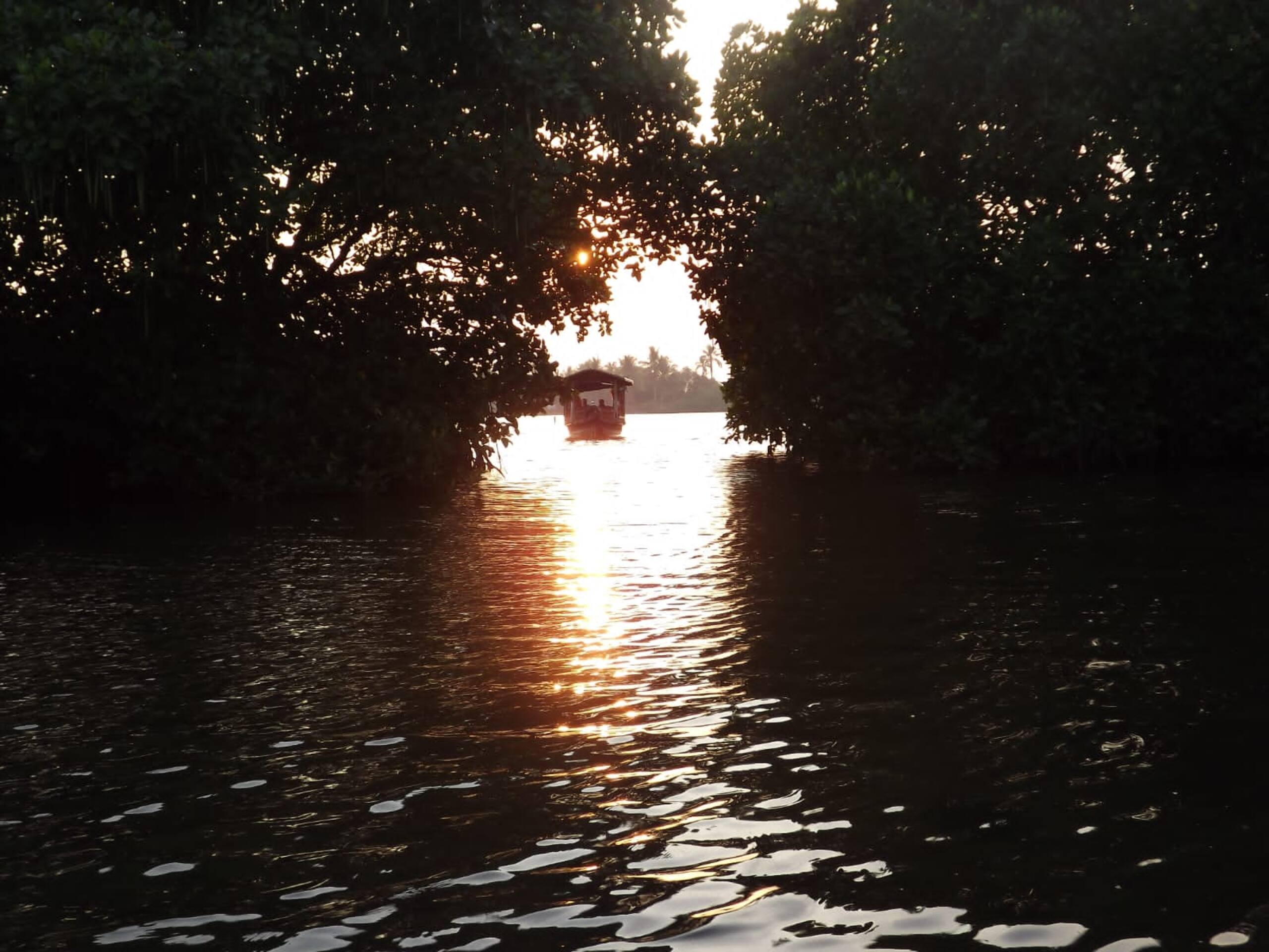 One BHK by Panangad backwaters 19