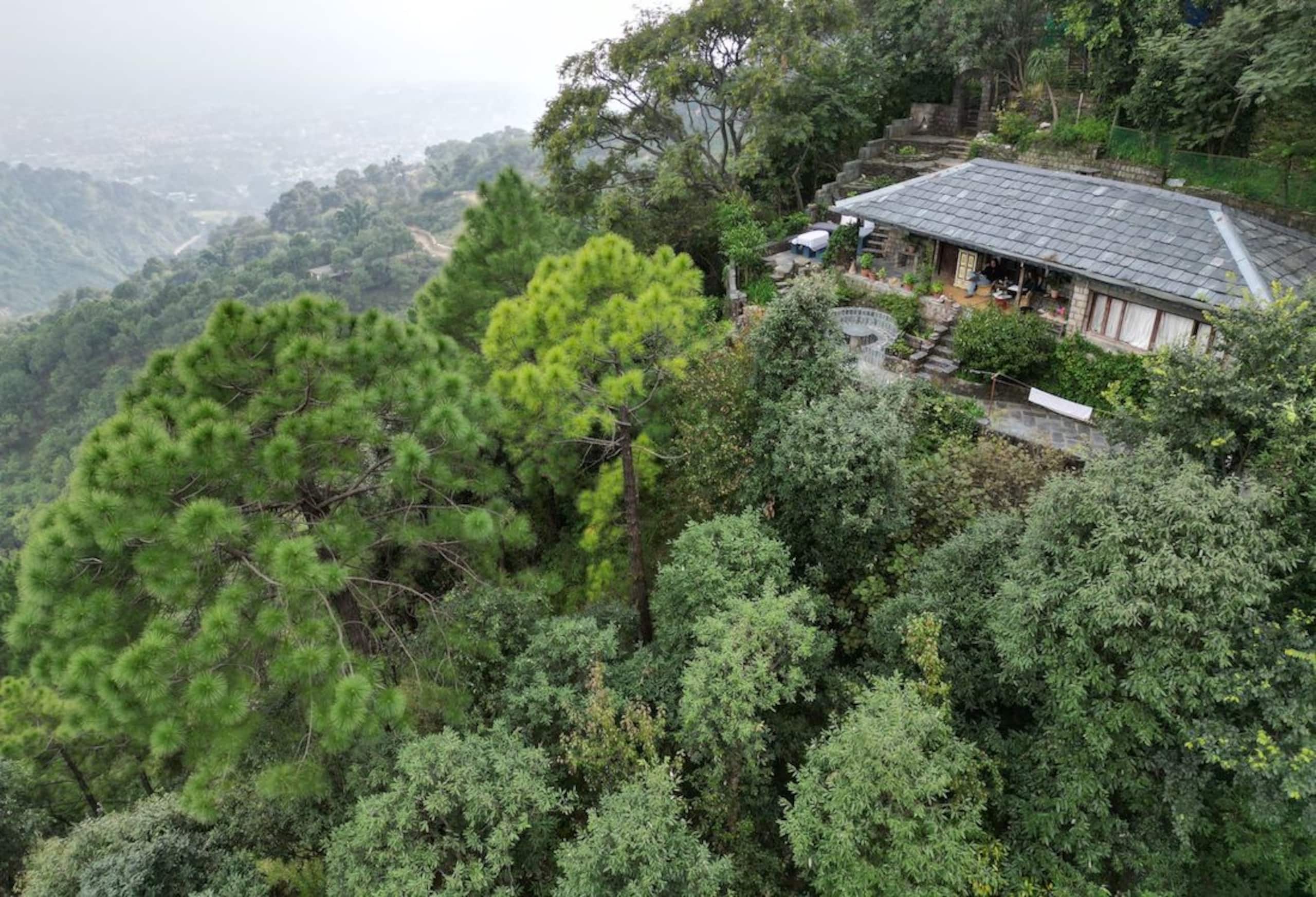 Wild Fig Cottage - An Idyllic Hillside Retreat 3