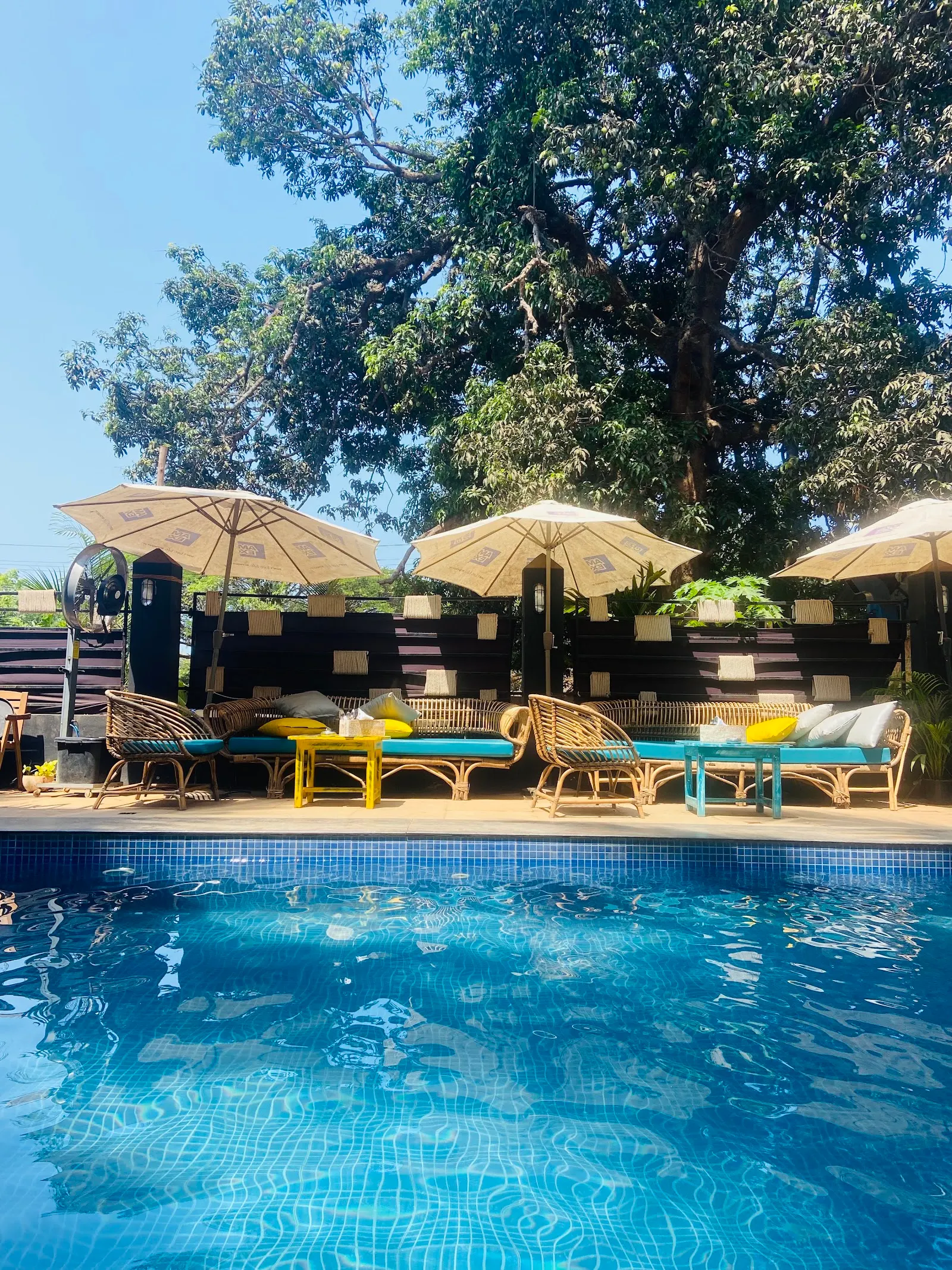 Earthy 1BHK Near Morjim Beach 3