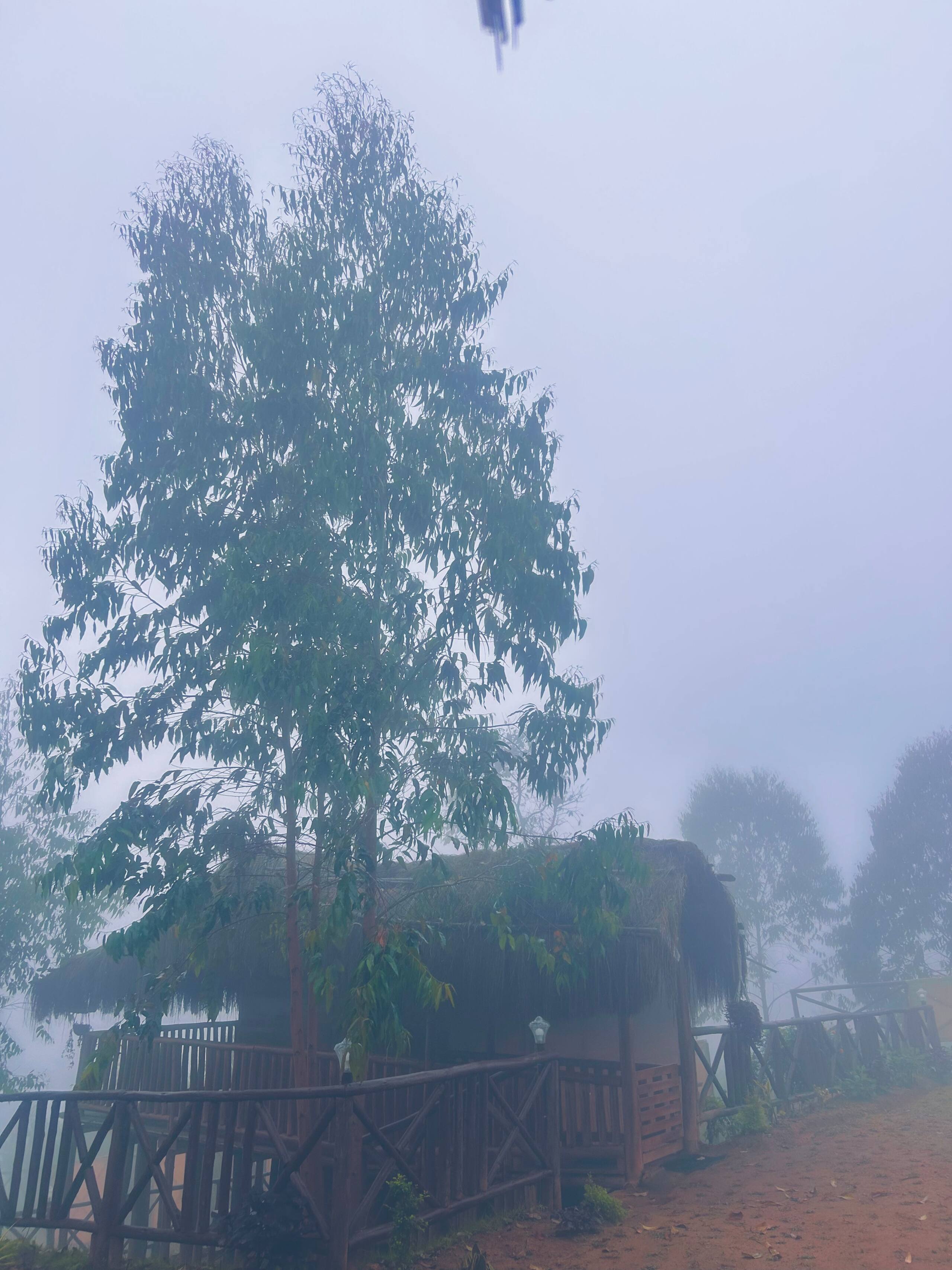 Misty Woodhouse | Scenic Hill Stay in Kanthalloor 17