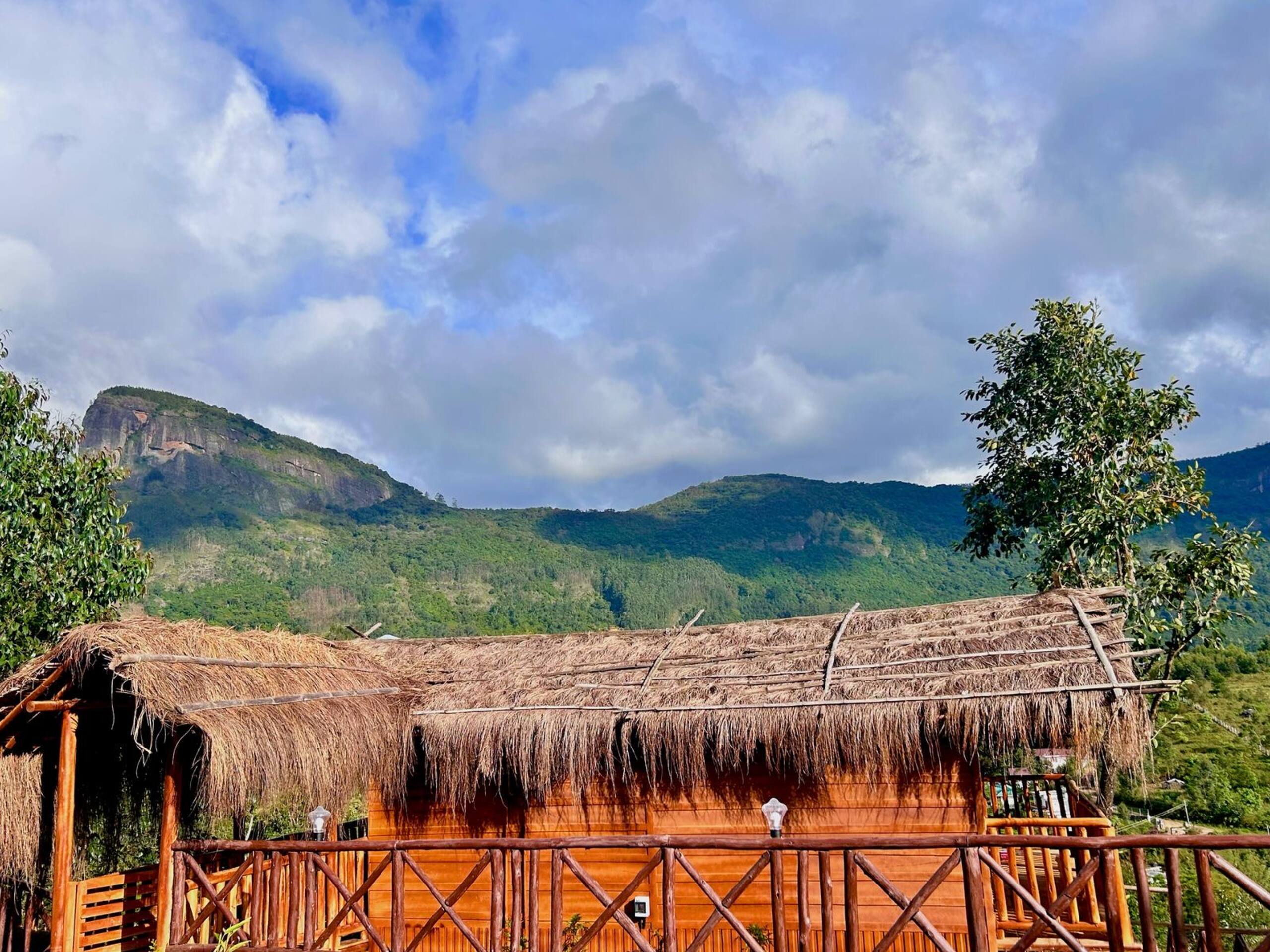 Misty Woodhouse | Scenic Hill Stay in Kanthalloor 5