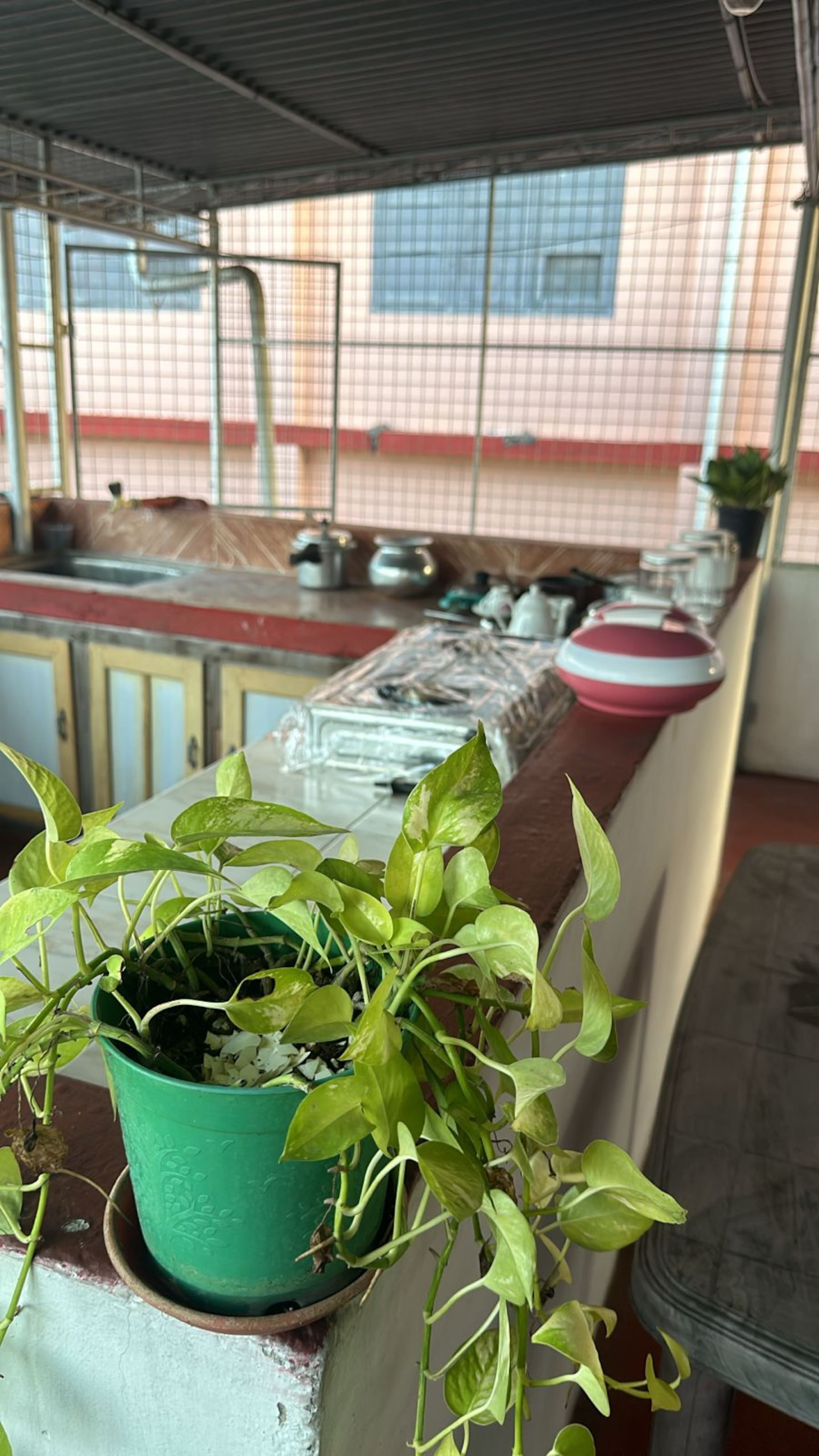 Hana's Haven: Entire Floor with 3 Rooms (A/C) 36