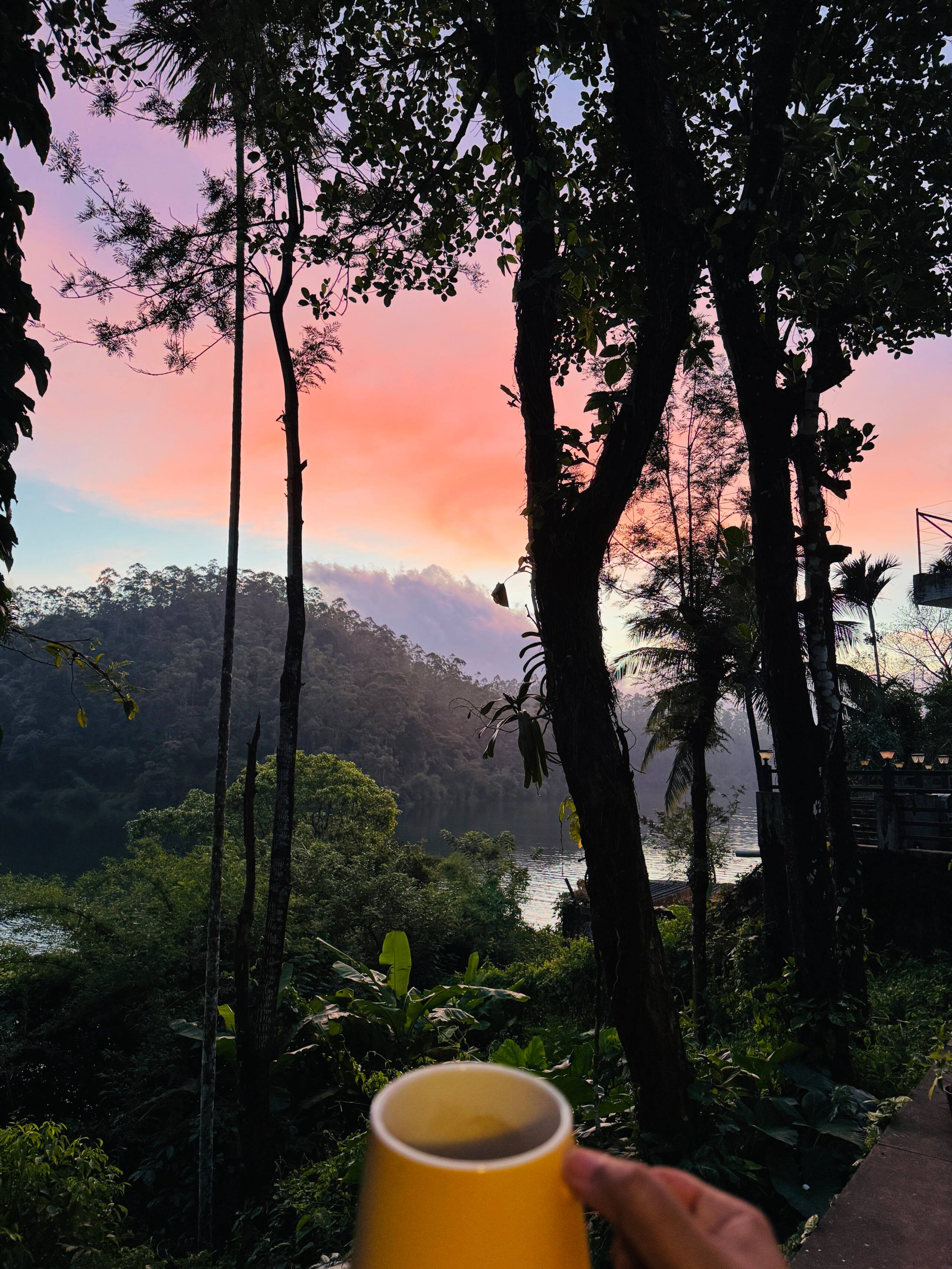 TwoTwentyTwoSpace Wayanad, Cottage & Studio 20
