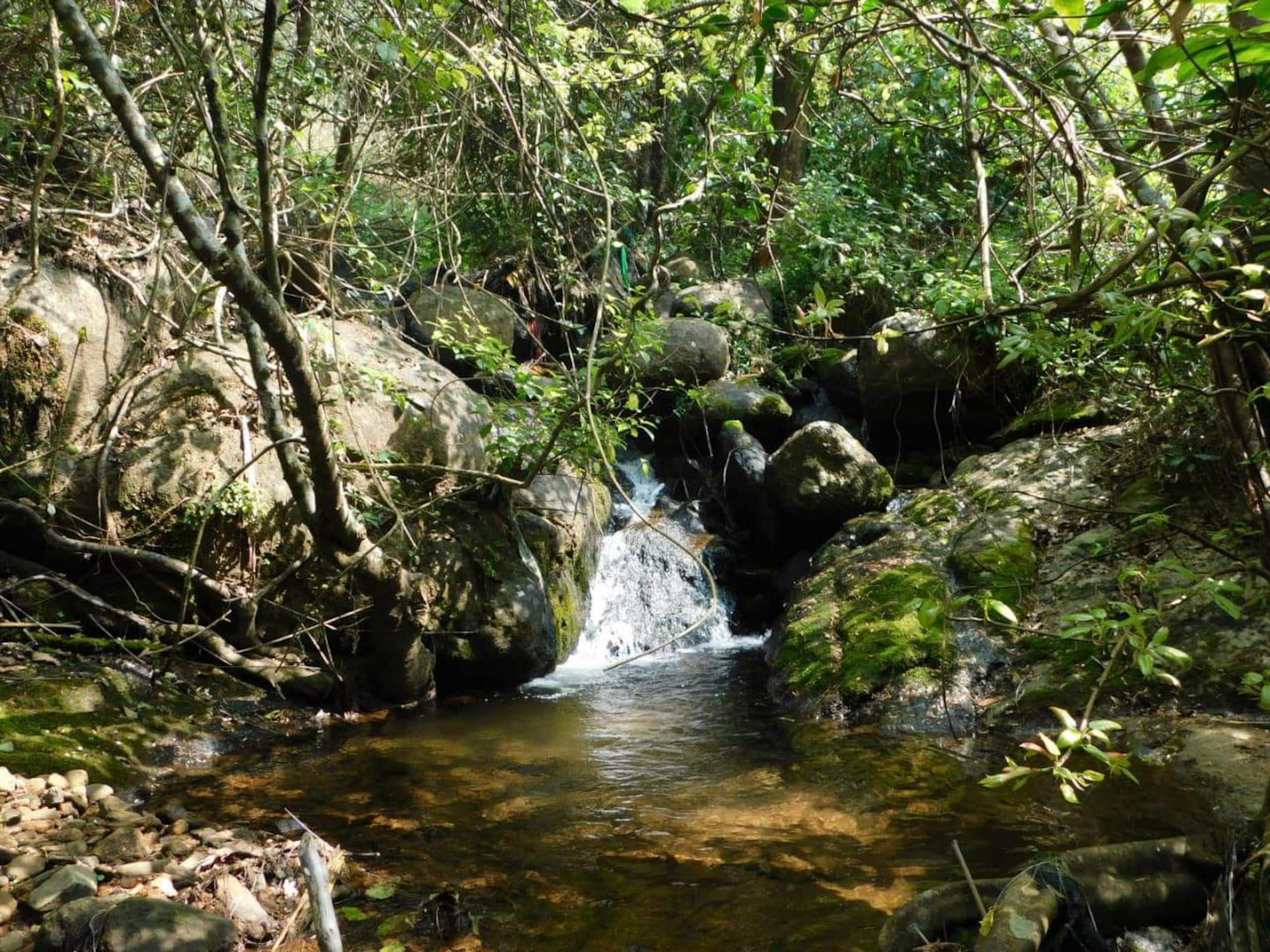 Recluse by the Stream 24