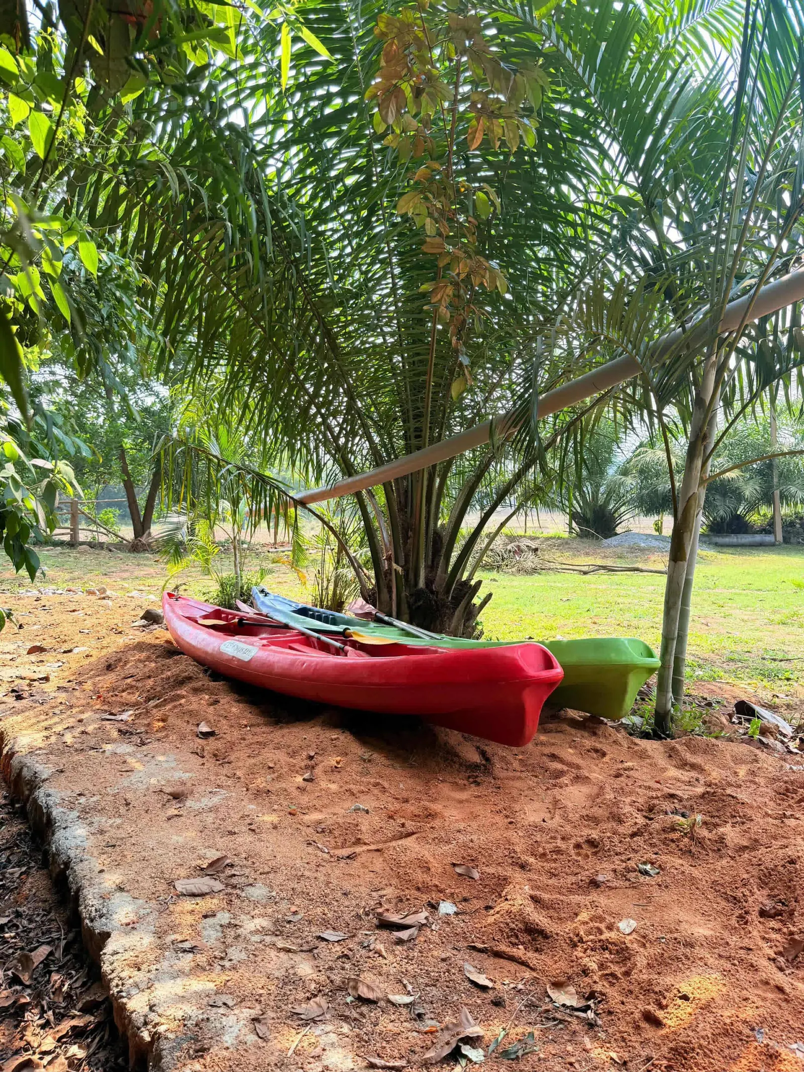 Jenubail Retreat - Sunset shead 13