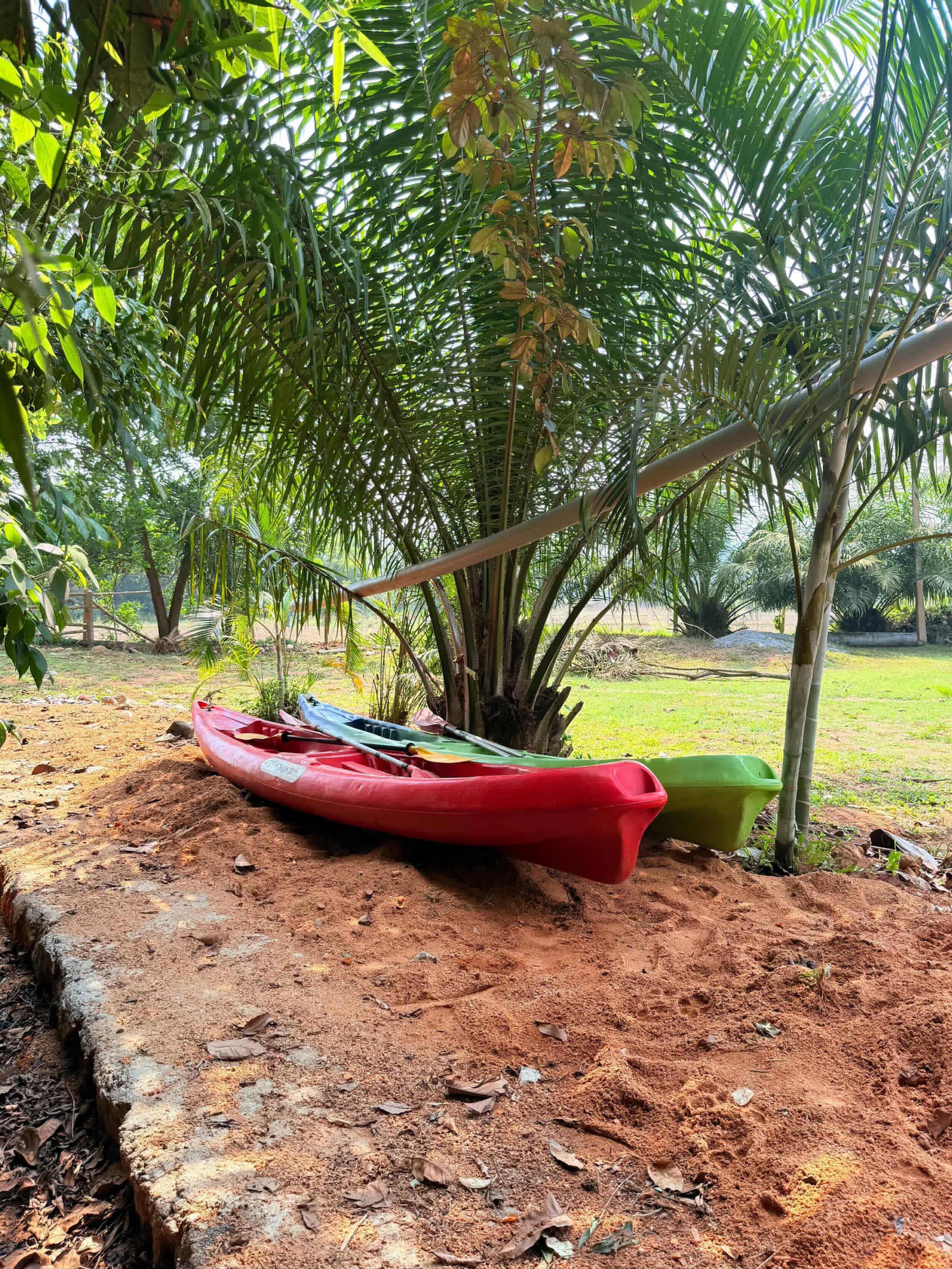 Jenubail Retreat - Sunset shead 13