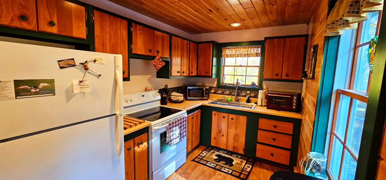 Cozy Moose Cabin 2