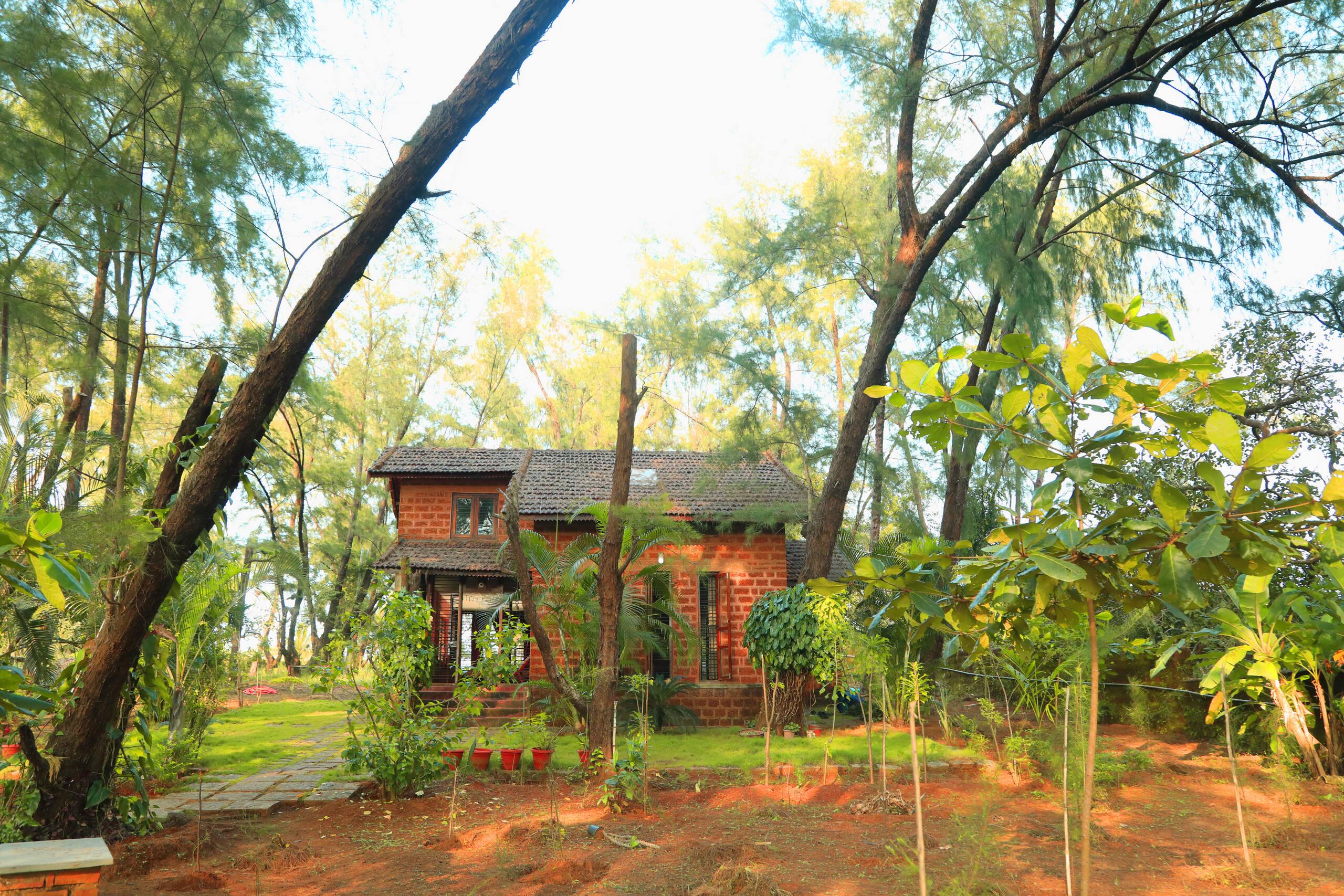 Villa Casuarina 1, near beach in sprawling grove 21