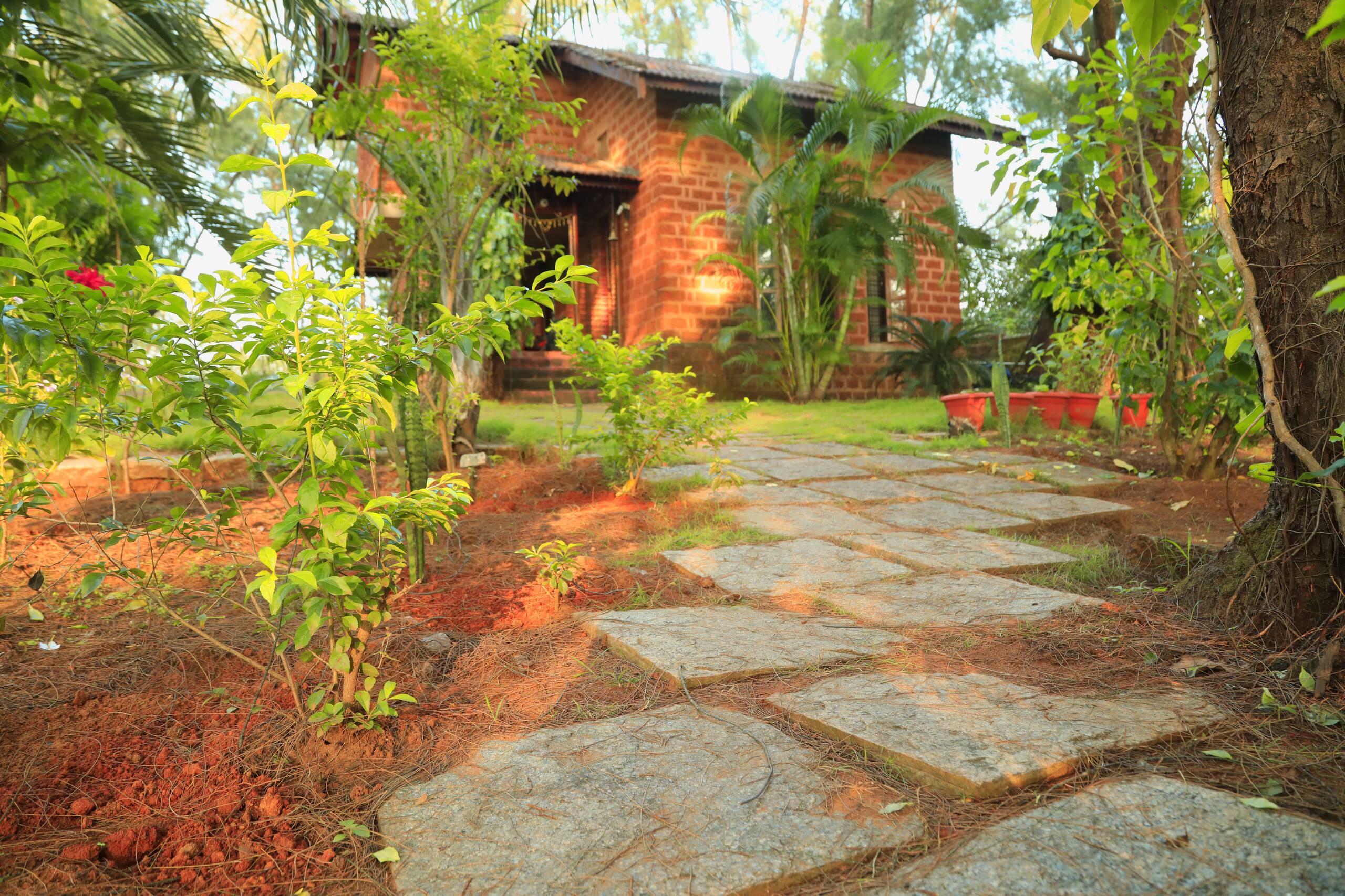 Villa Casuarina 1, near beach in sprawling grove 19