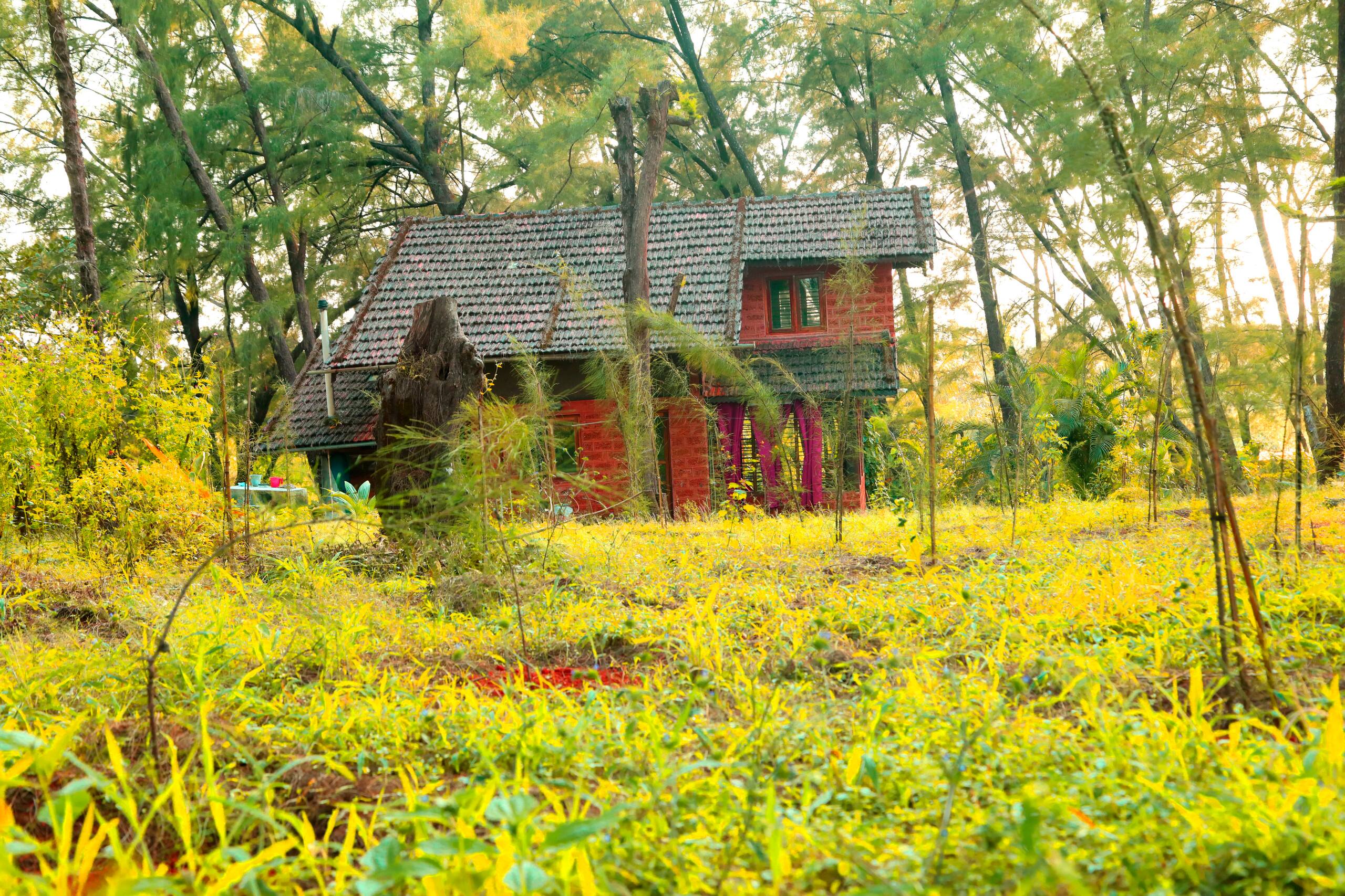 Villa Casuarina 1, near beach in sprawling grove 20