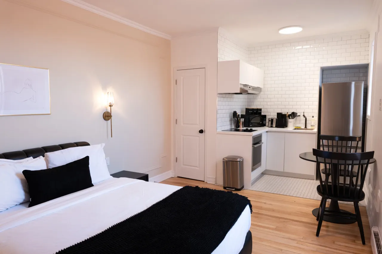 #9 - Studio/Plateau/St-Denis/SelfCheck-In/AC/TV 2