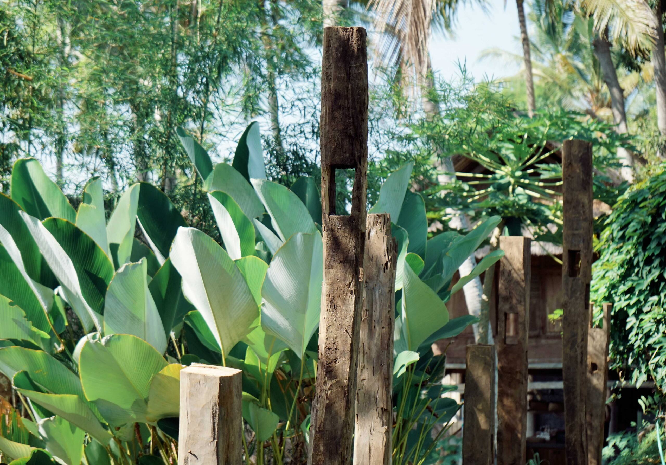 Zen Hideaway 1: Wabi-Sabi Teak House & Sunrise 25