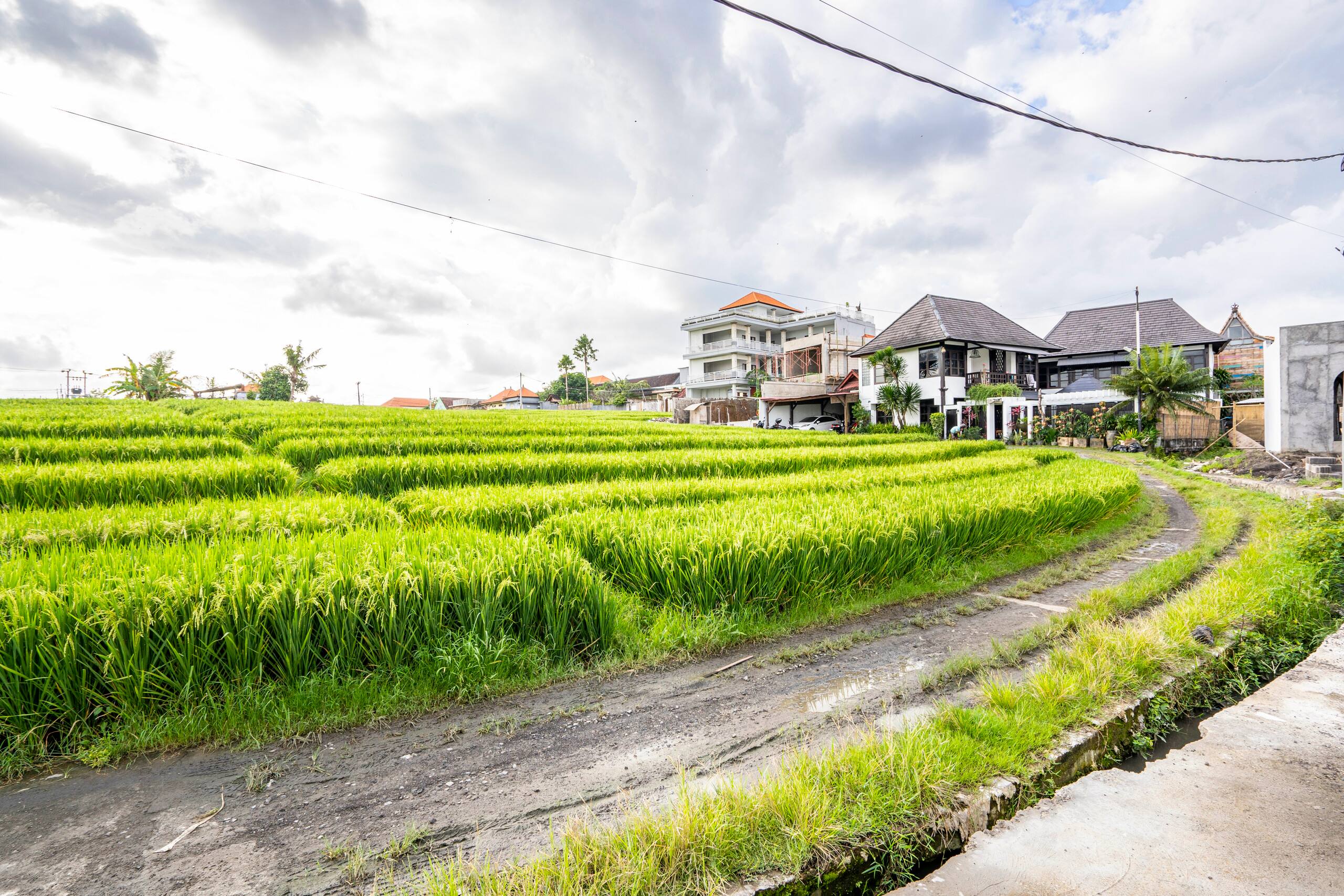 Sunny Canggu Hideaway: 1BR Villa with Pool 26