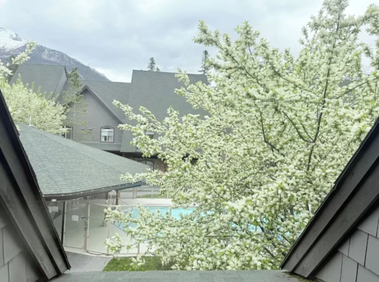 Premium 2-Bedroom Townhouse+ Mountain Views 9