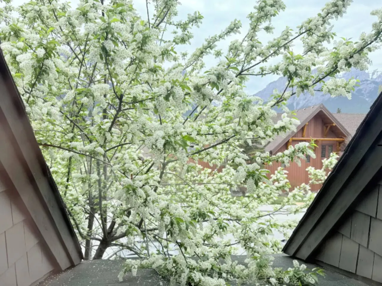 Premium 2-Bedroom Townhouse+ Mountain Views 3